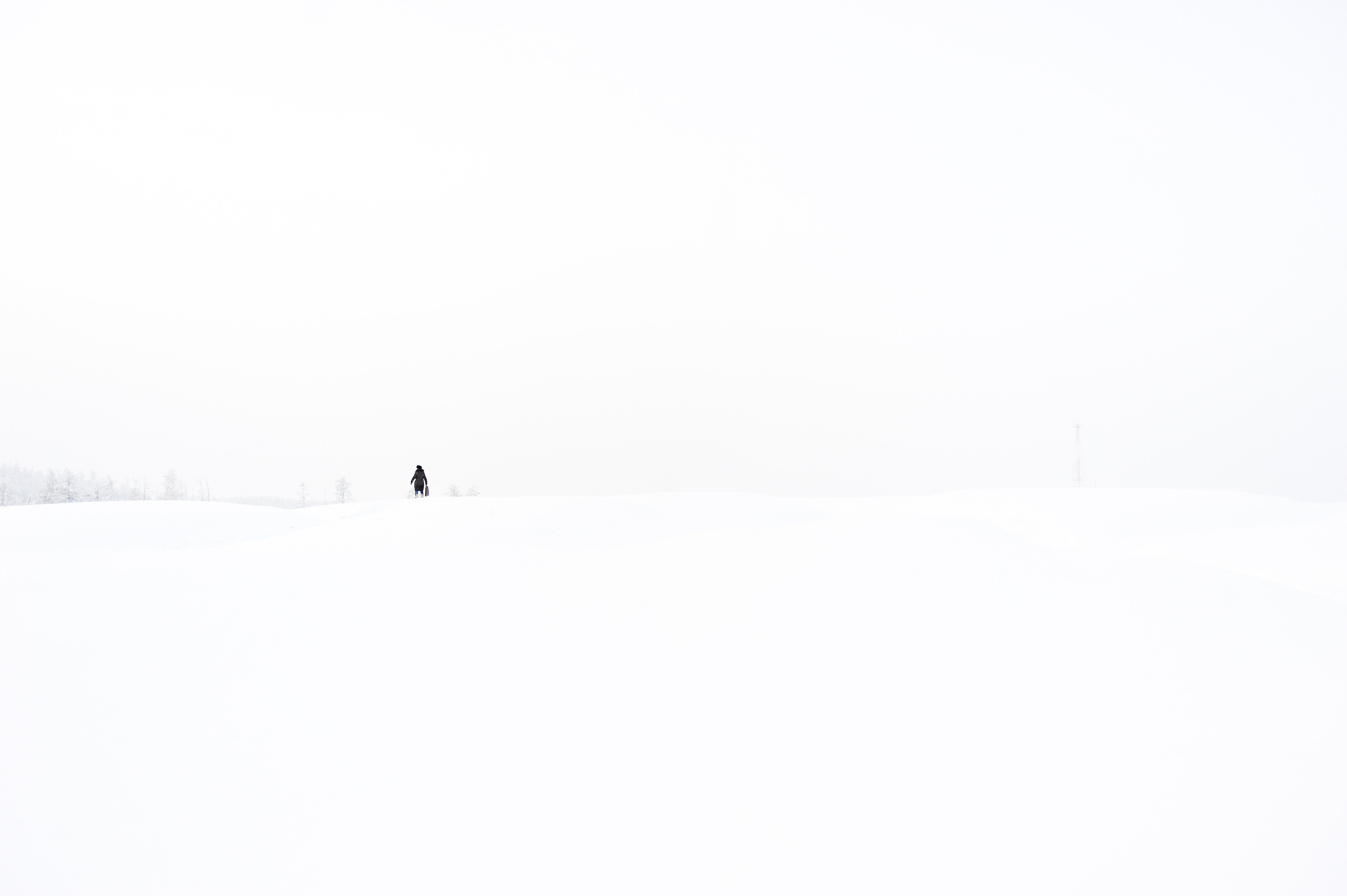 La meilleure saison. Ayar Kuo