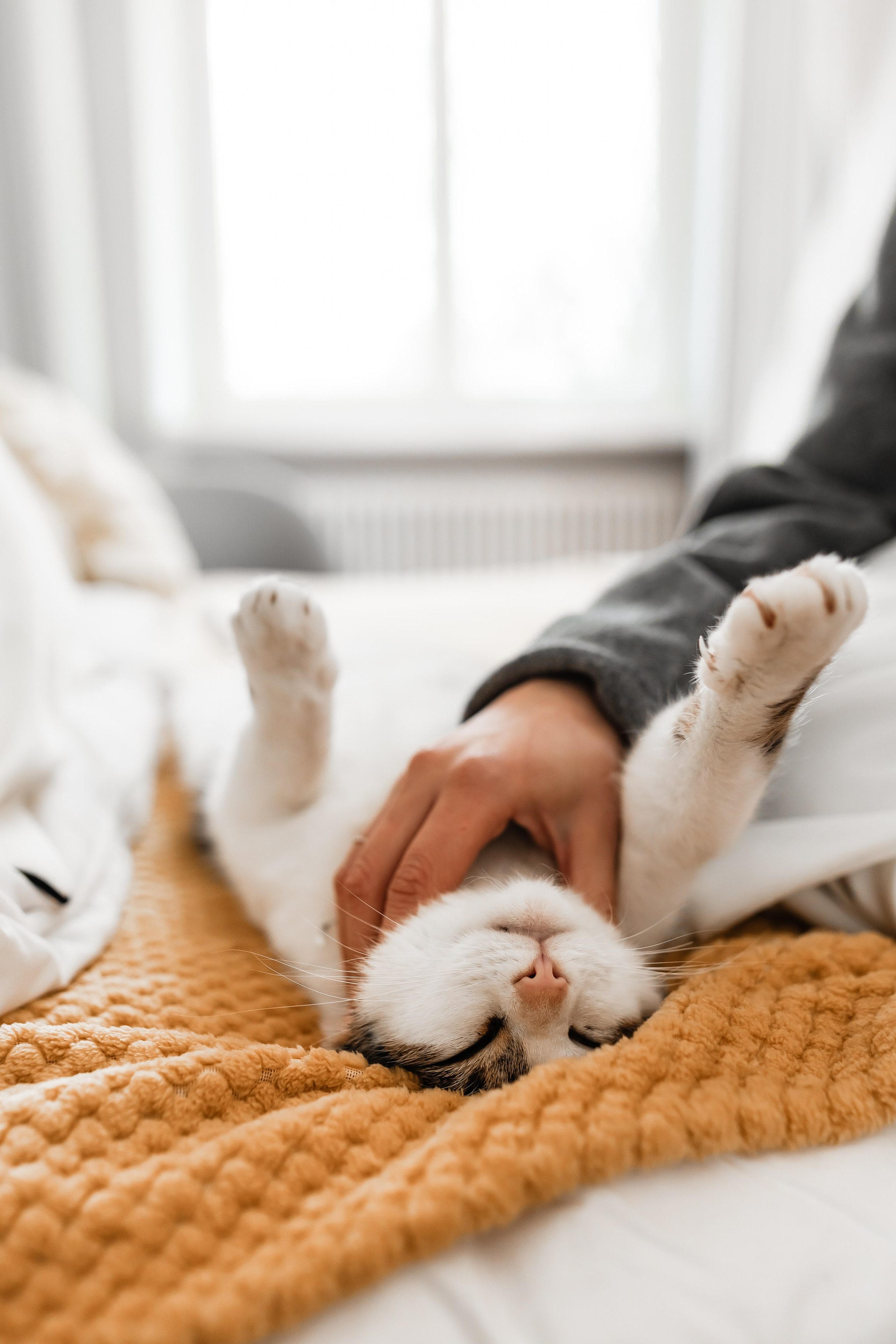 Palac Minoga. Fotograf ślubny i rodzinny w Krakowie Yana Klymova