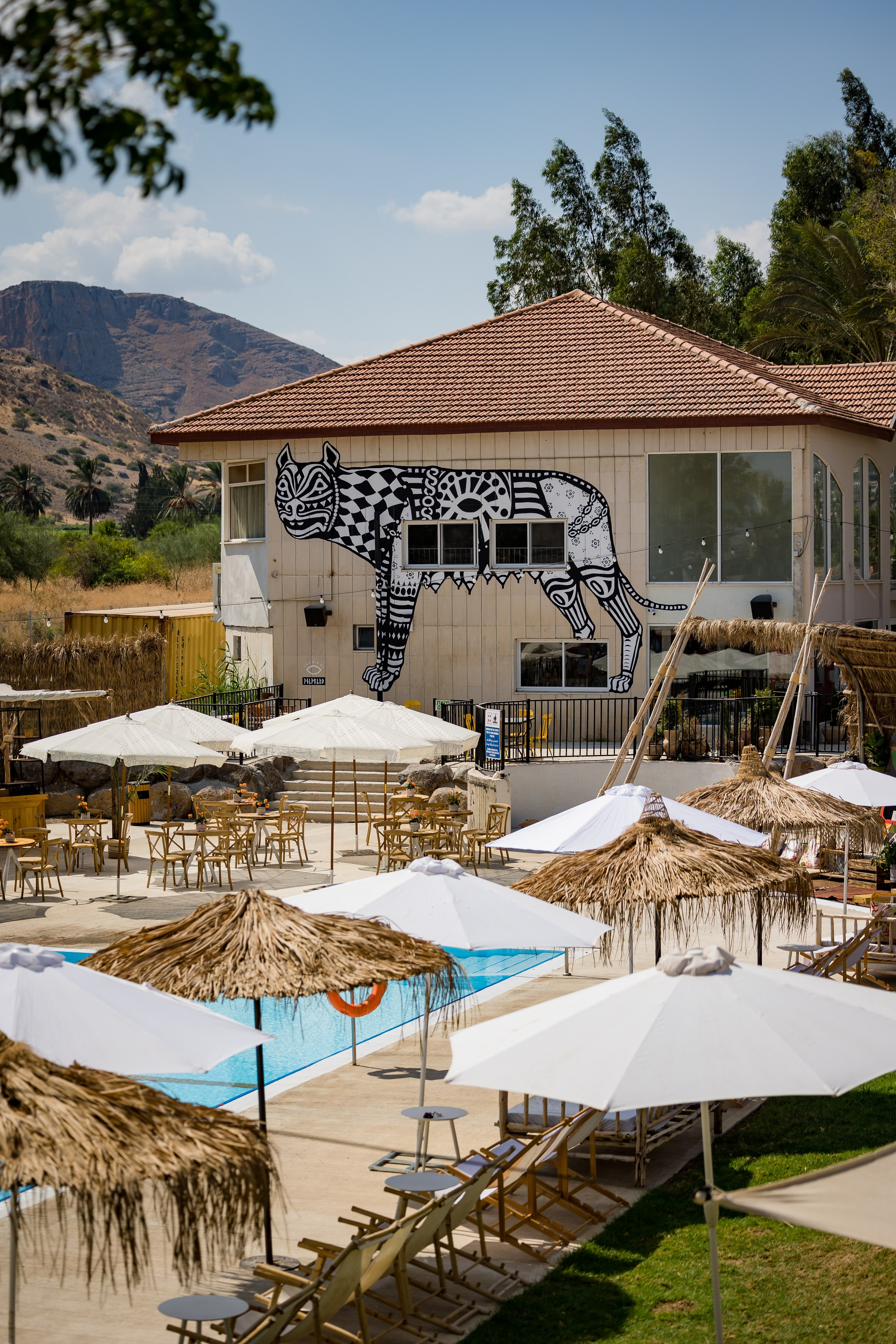 Playtika TIKI TECH. AMIR BUCHNIK PHOTOGRAPHER