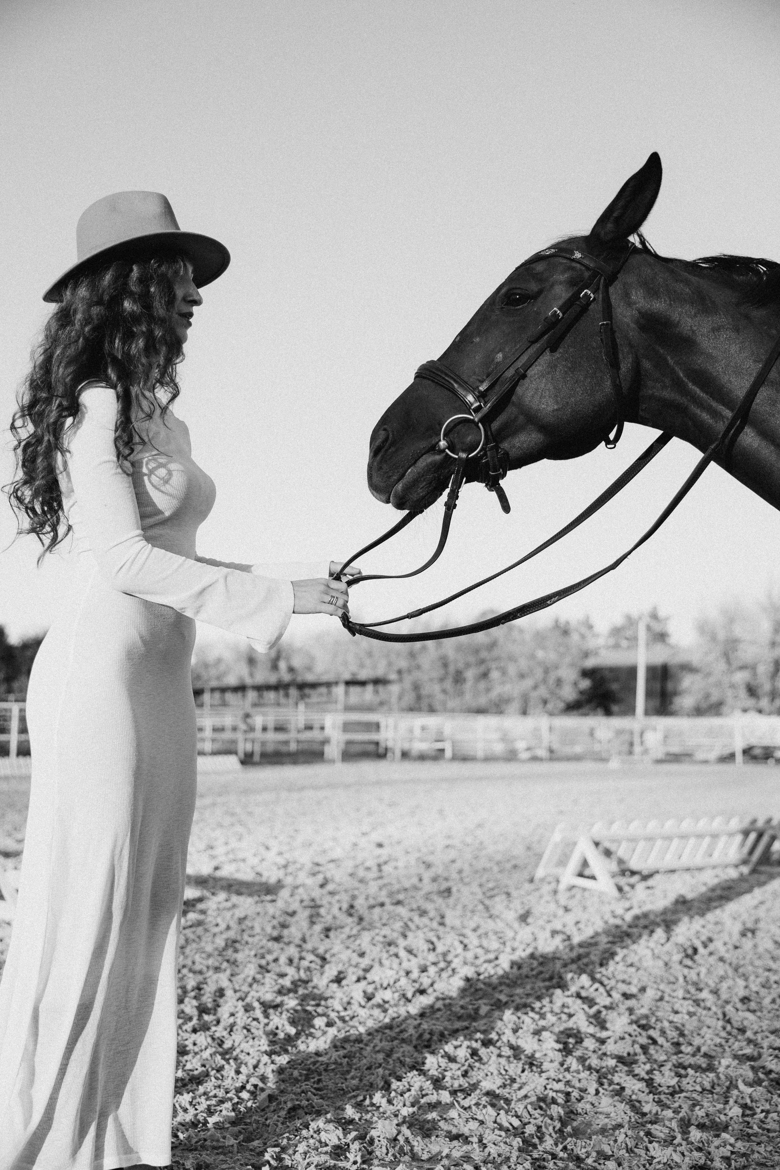 Horse & Rider Photoshoots in Boston & New England