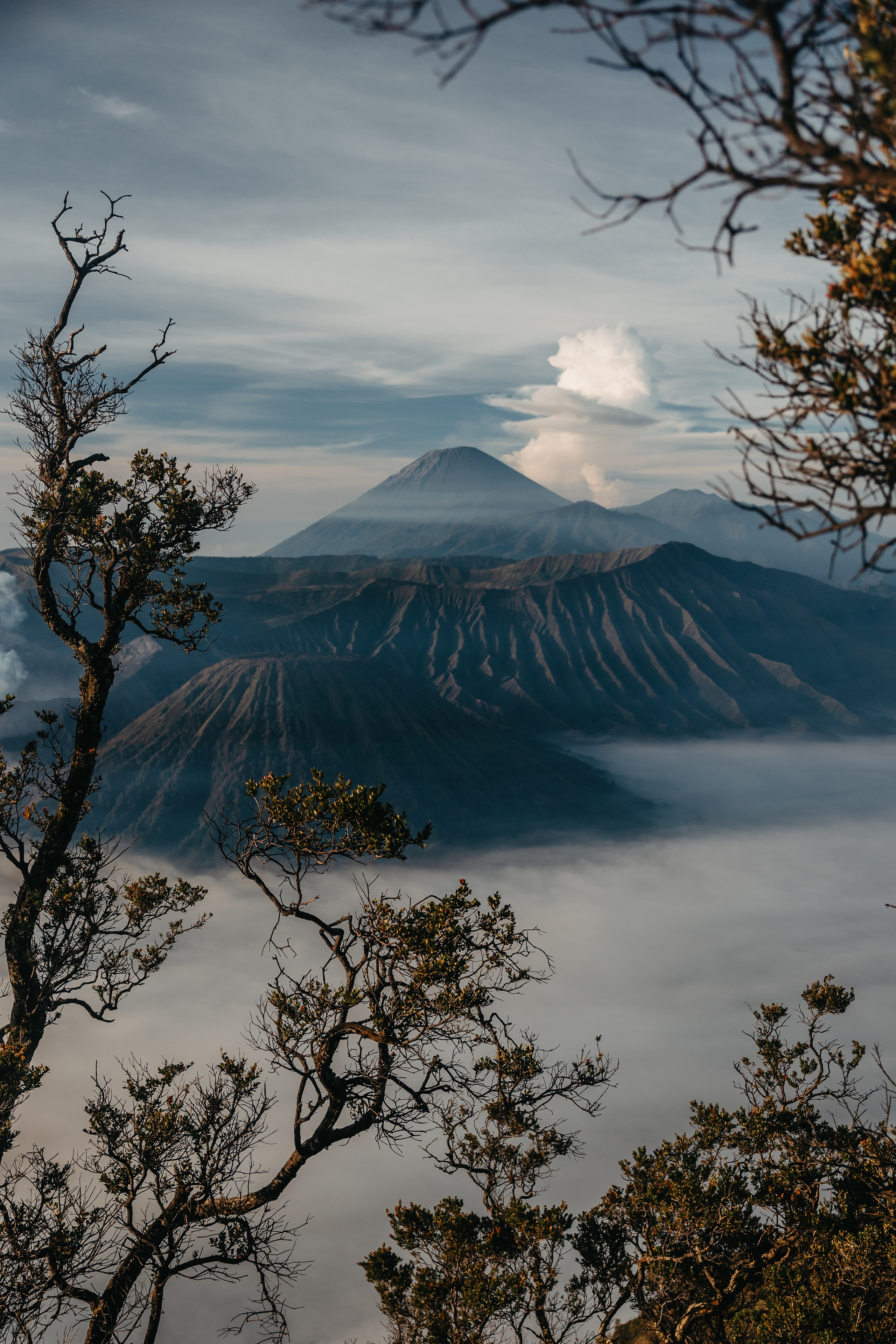 Bromo. Профессиональный фотограф Нурмиева Вероника