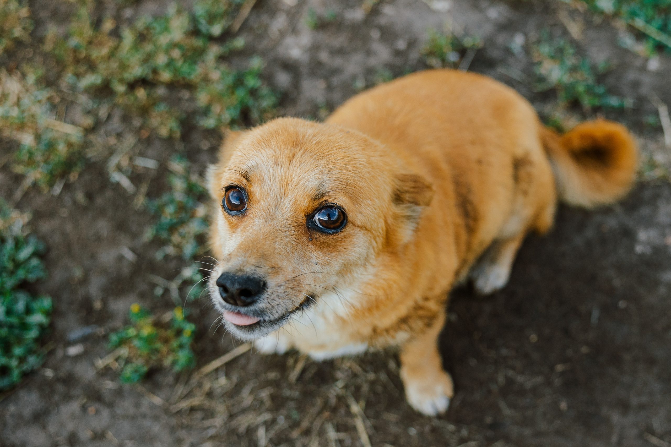 Ferma. Профессиональный фотограф Нурмиева Вероника
