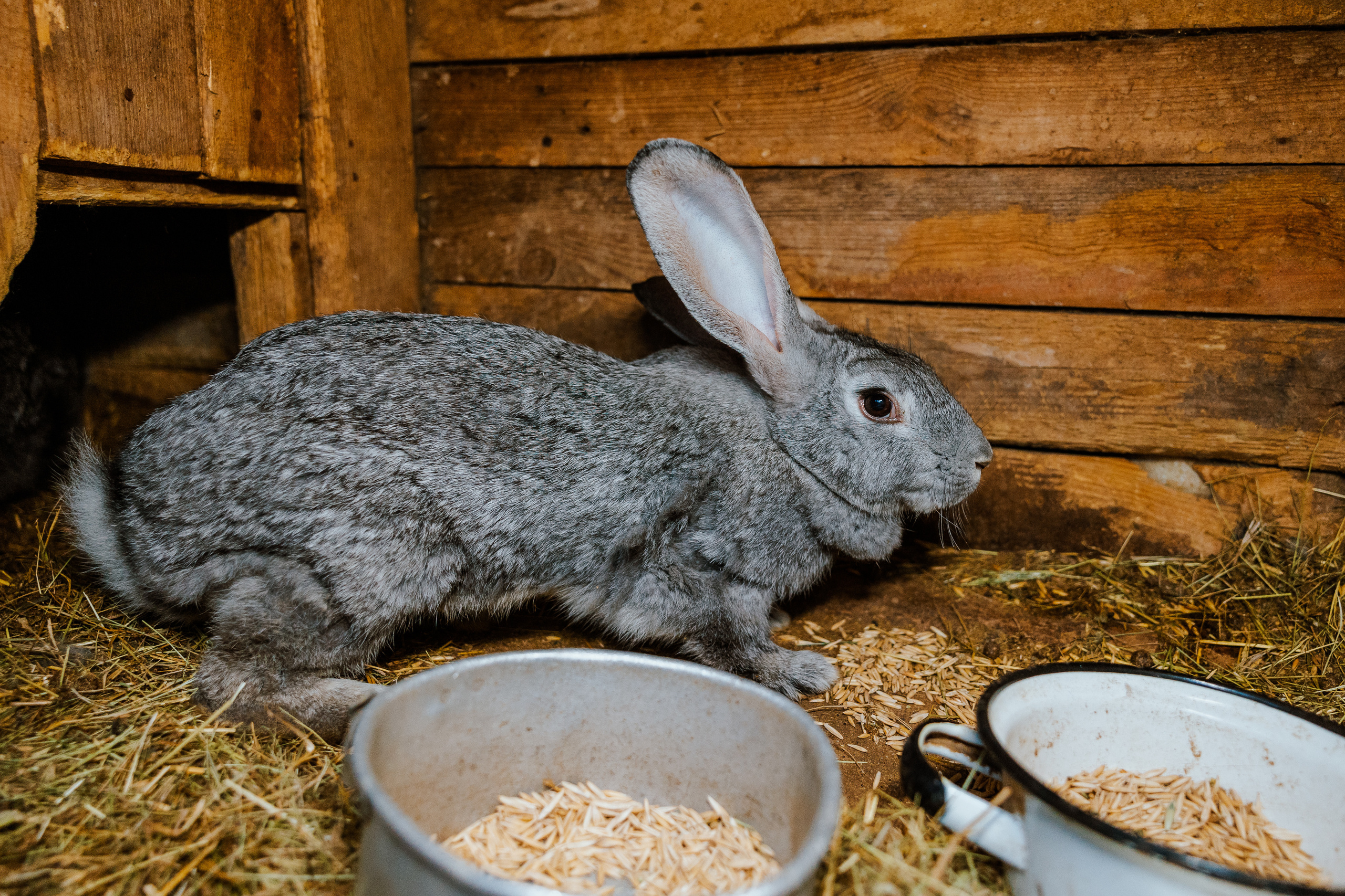 Ferma. Профессиональный фотограф Нурмиева Вероника
