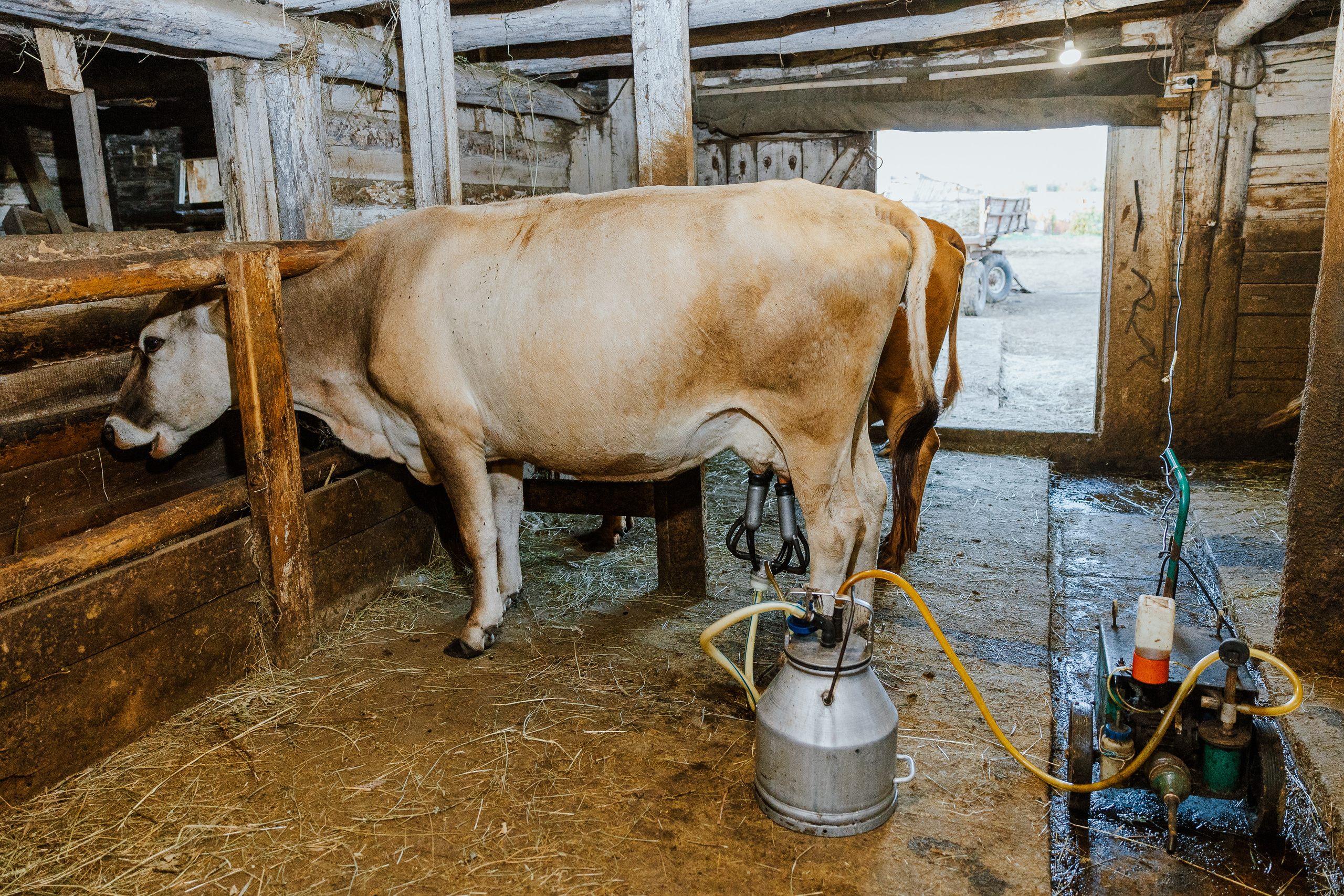 Ferma. Профессиональный фотограф Нурмиева Вероника