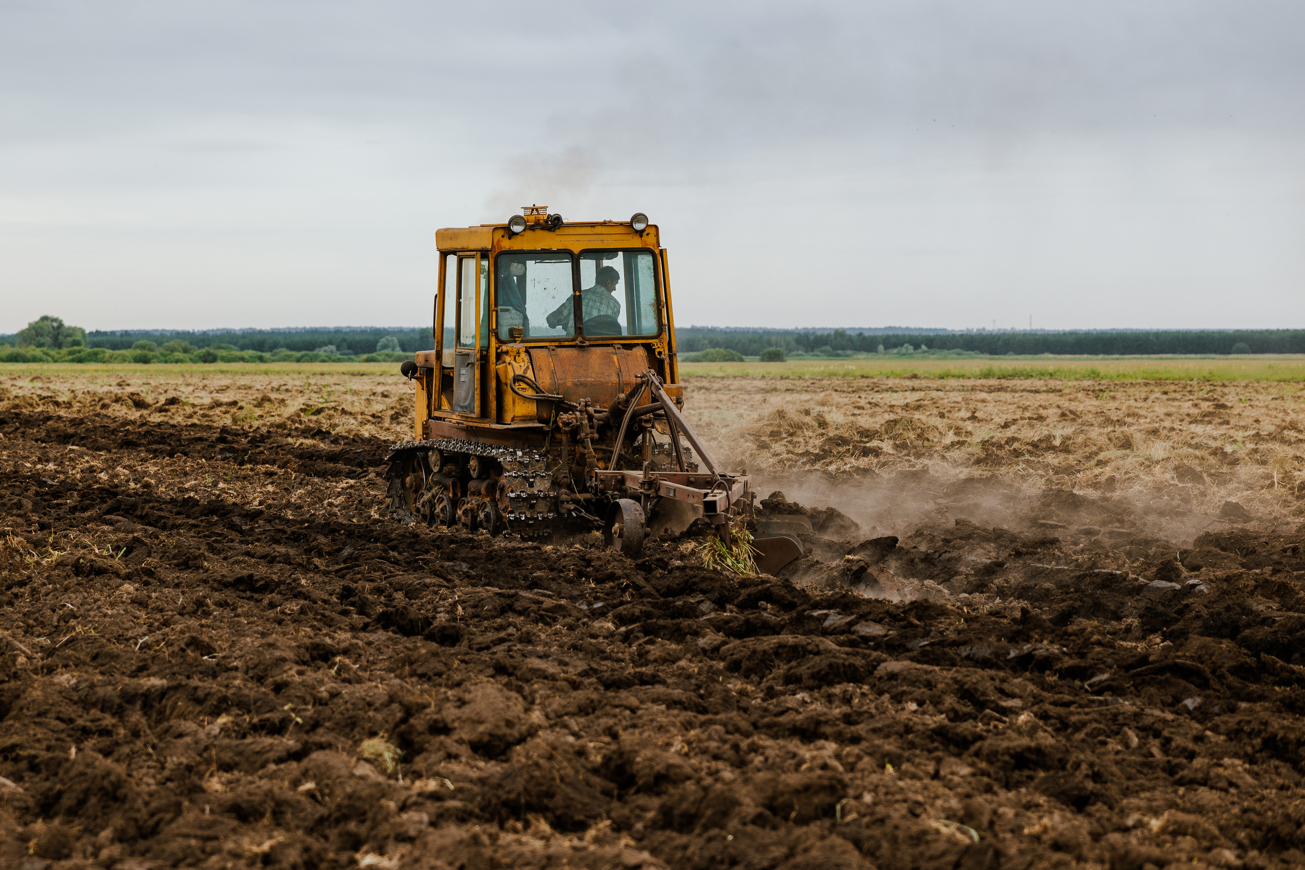 Ferma. Профессиональный фотограф Нурмиева Вероника