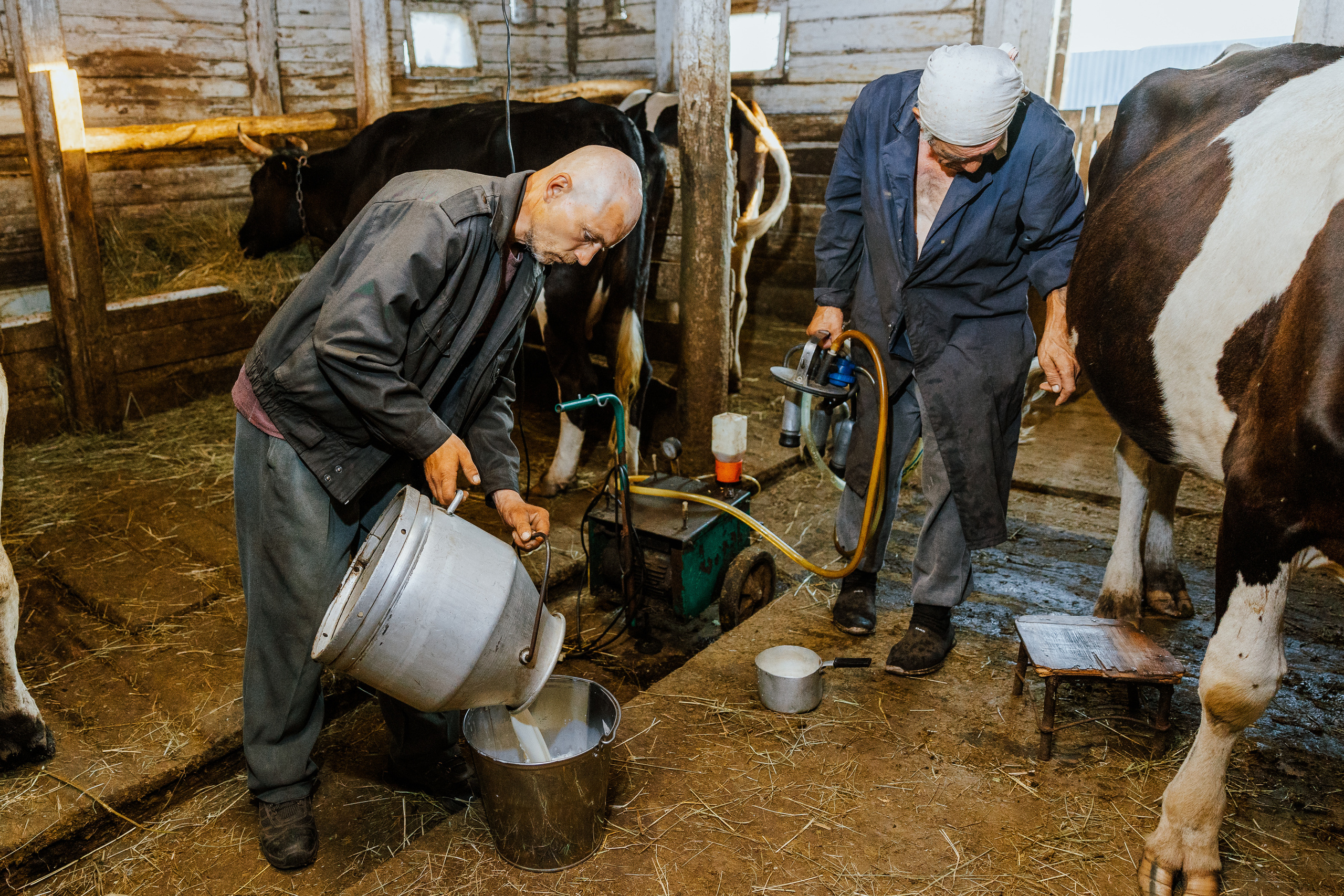 Ferma. Профессиональный фотограф Нурмиева Вероника
