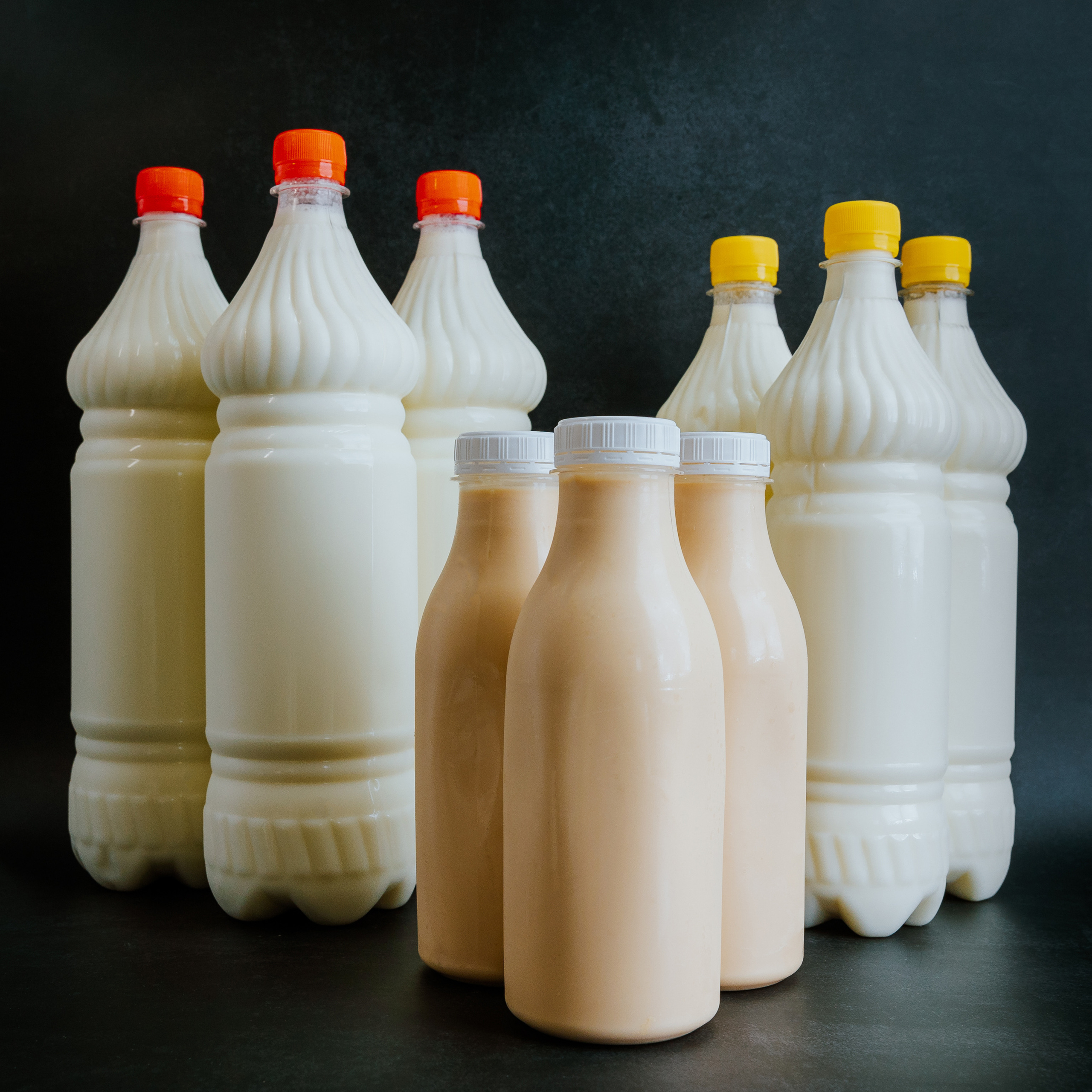 Ferma. Профессиональный фотограф Нурмиева Вероника