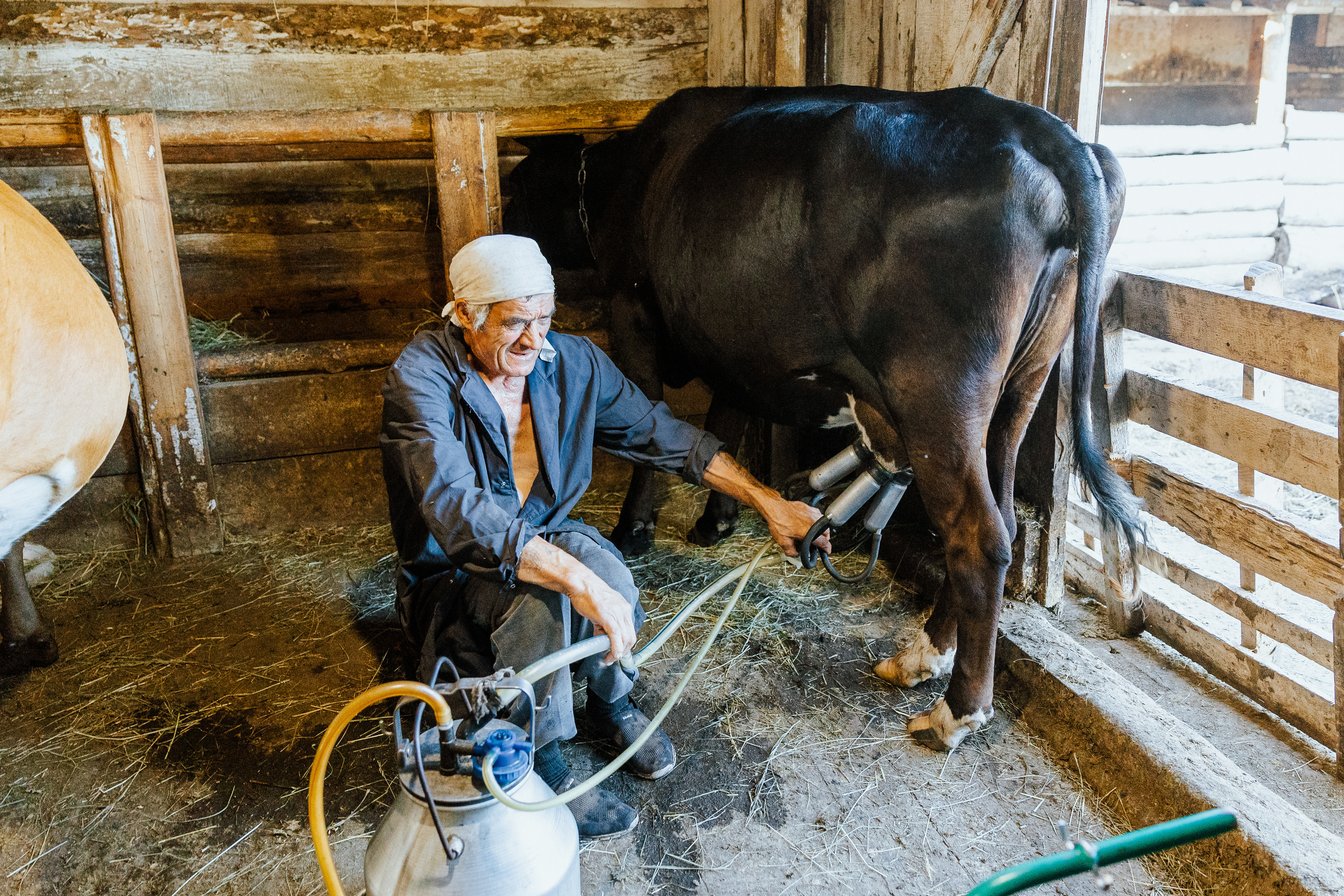 Ferma. Профессиональный фотограф Нурмиева Вероника