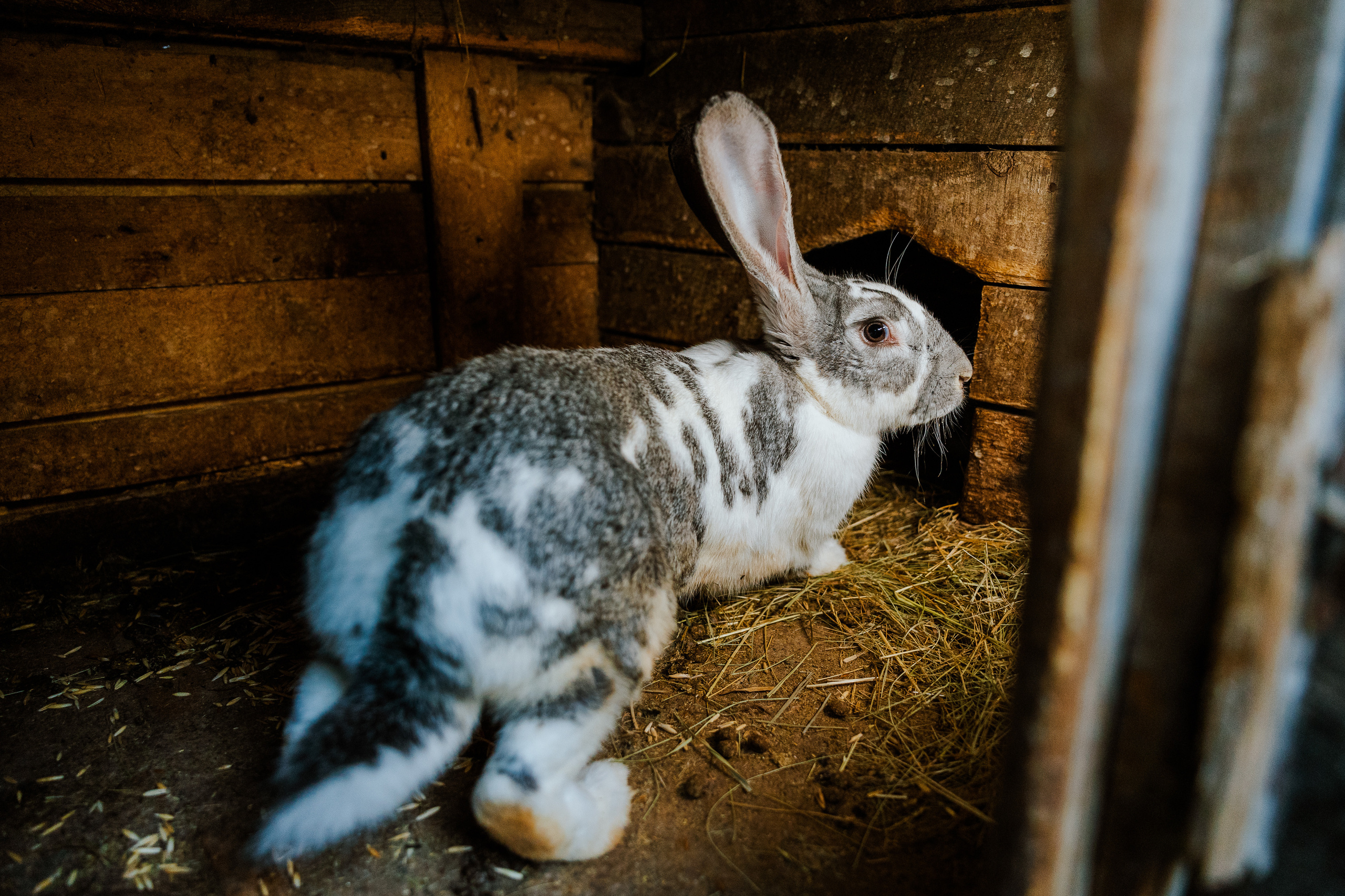 Ferma. Профессиональный фотограф Нурмиева Вероника