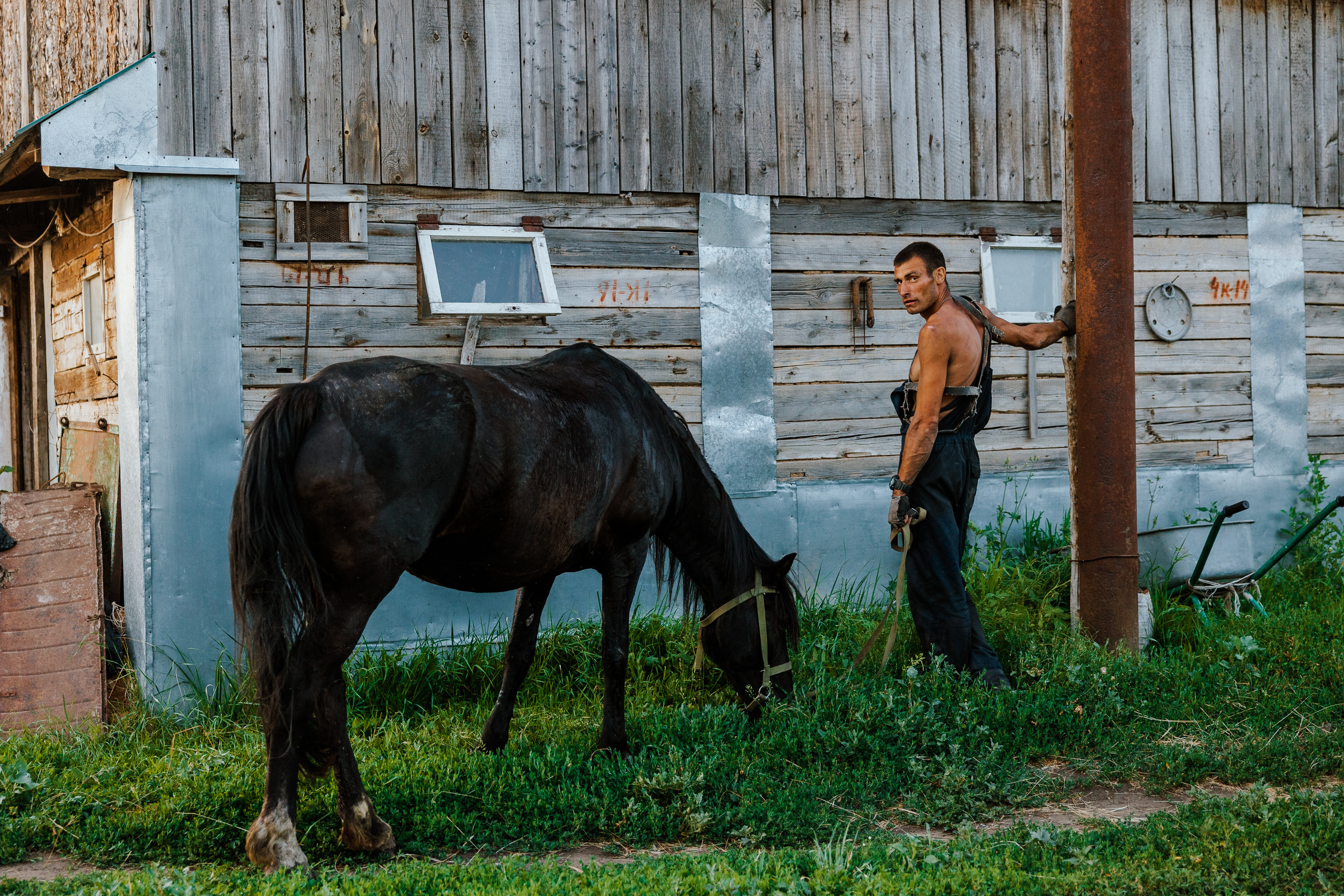 Ferma. Профессиональный фотограф Нурмиева Вероника