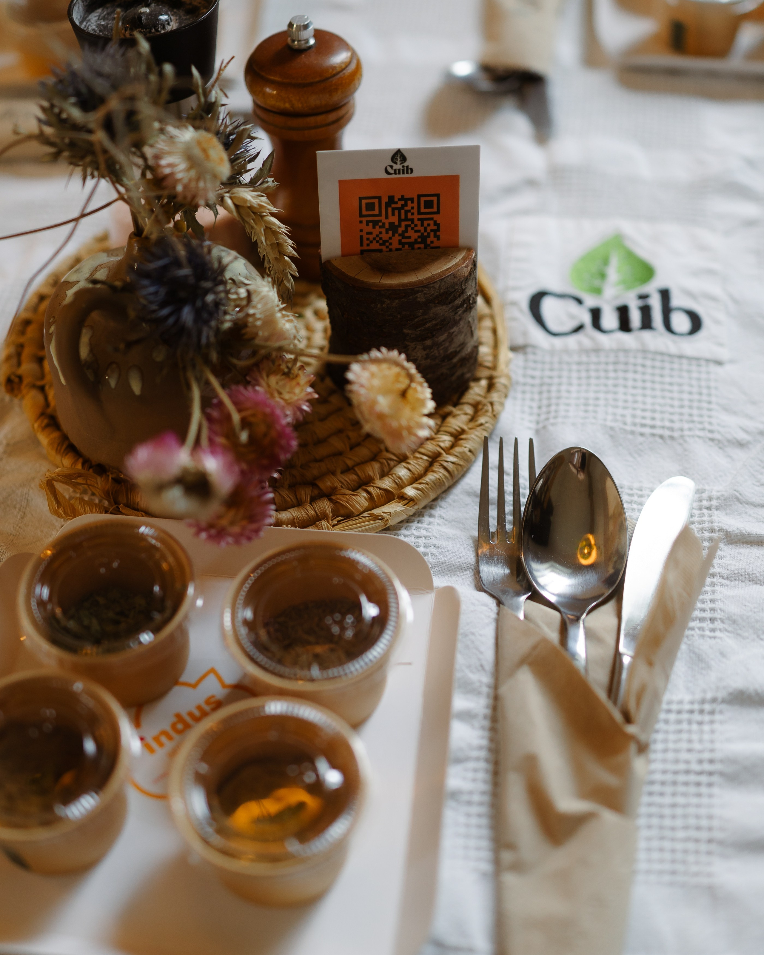 Indus at CUIB. Marius Ciocan