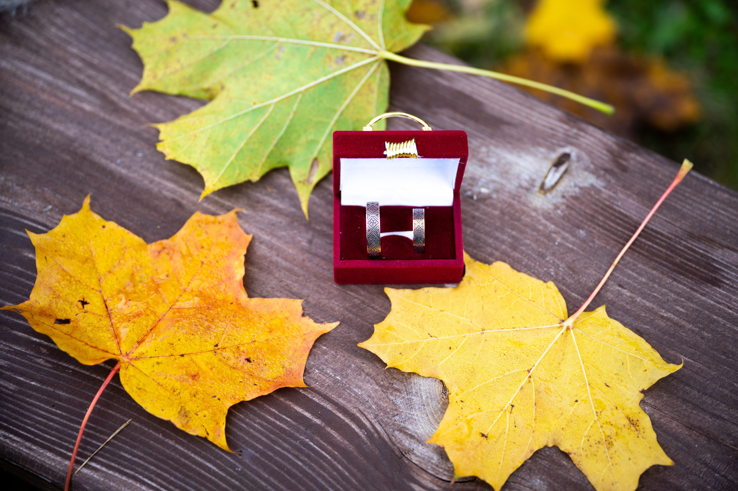 Sandis & Ieva. Ritvars Pujats Emotion Photographer