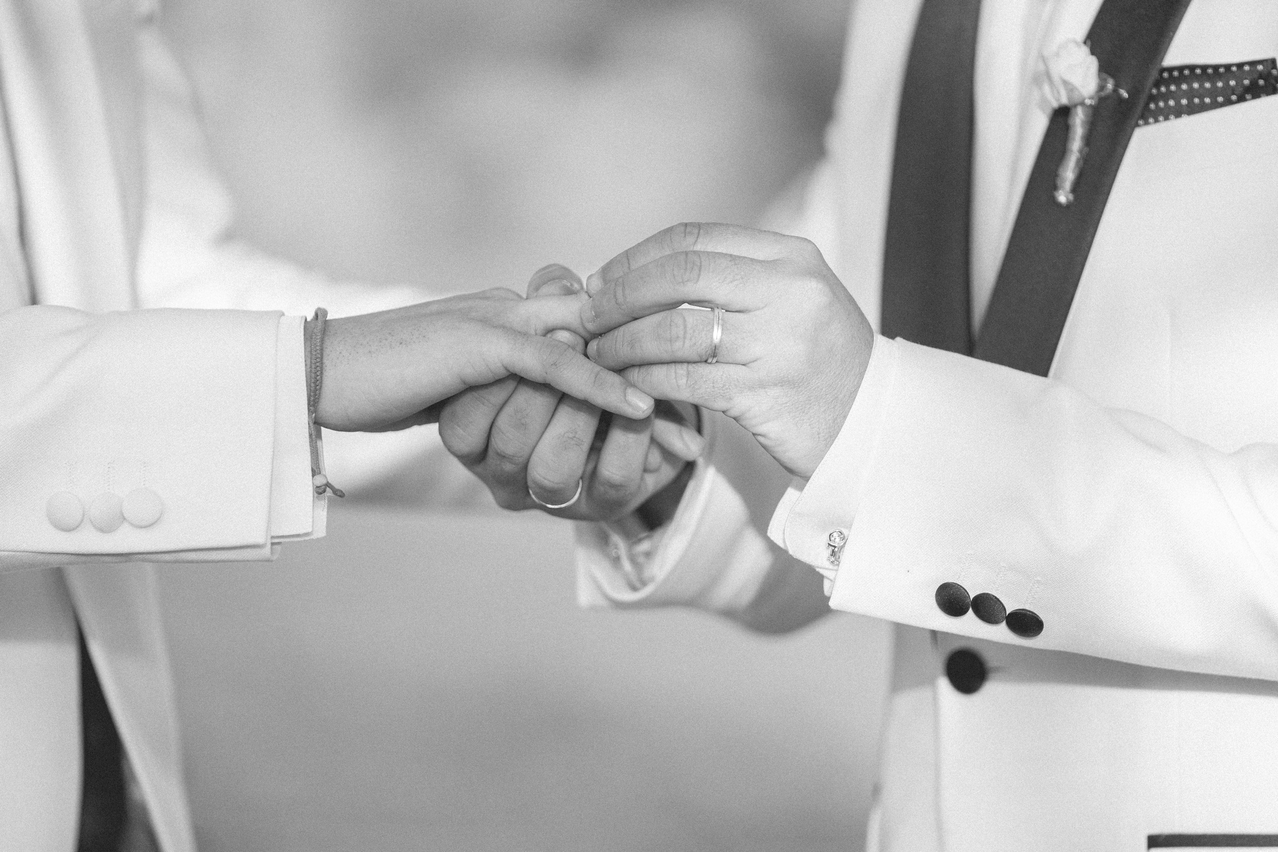 Miguel & Jorge · Boda en Finca las Golondrinas, Cáceres | Alianza Weddings