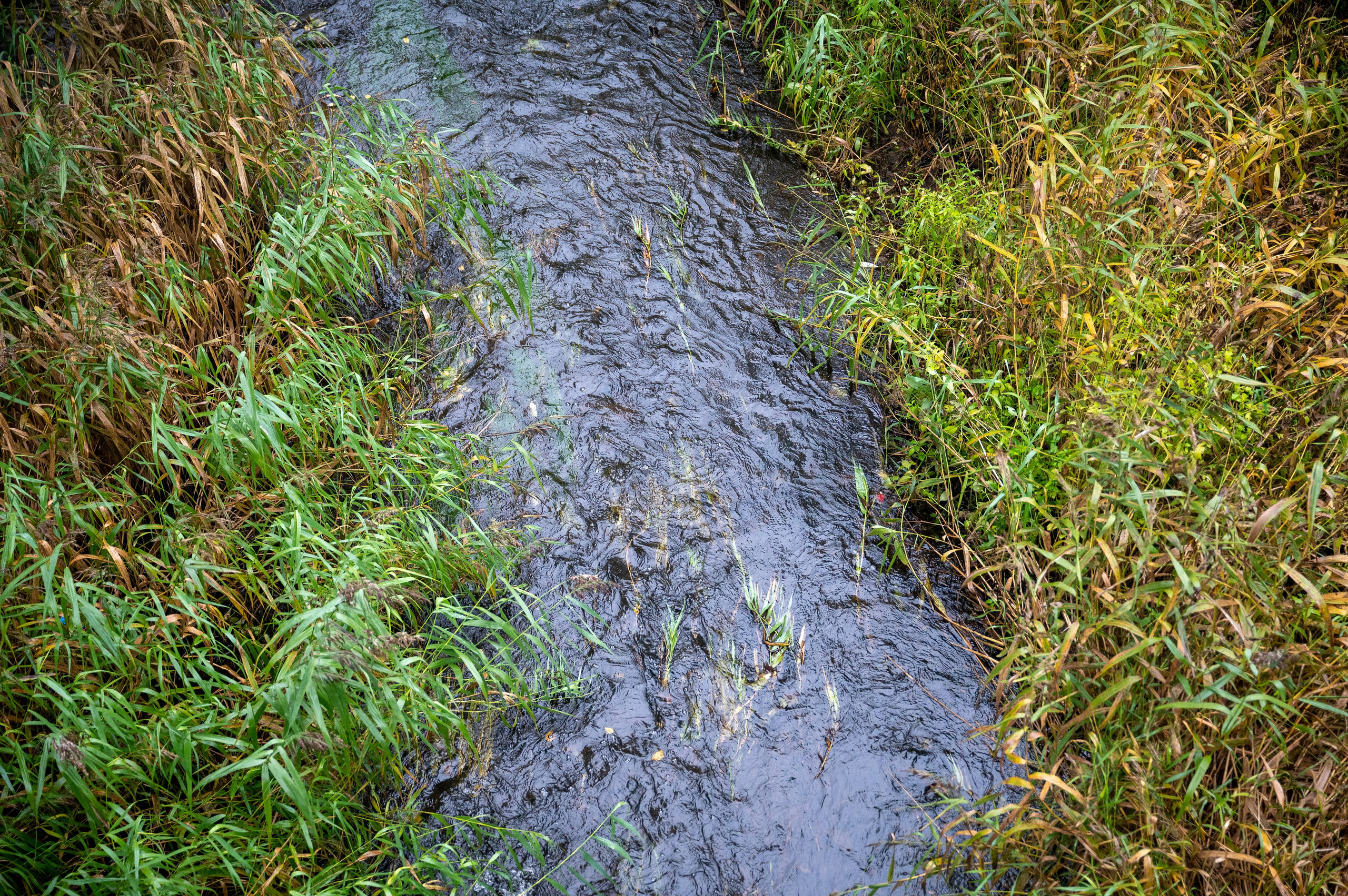Sandis & Ieva. Ritvars Pujats Emotion Photographer