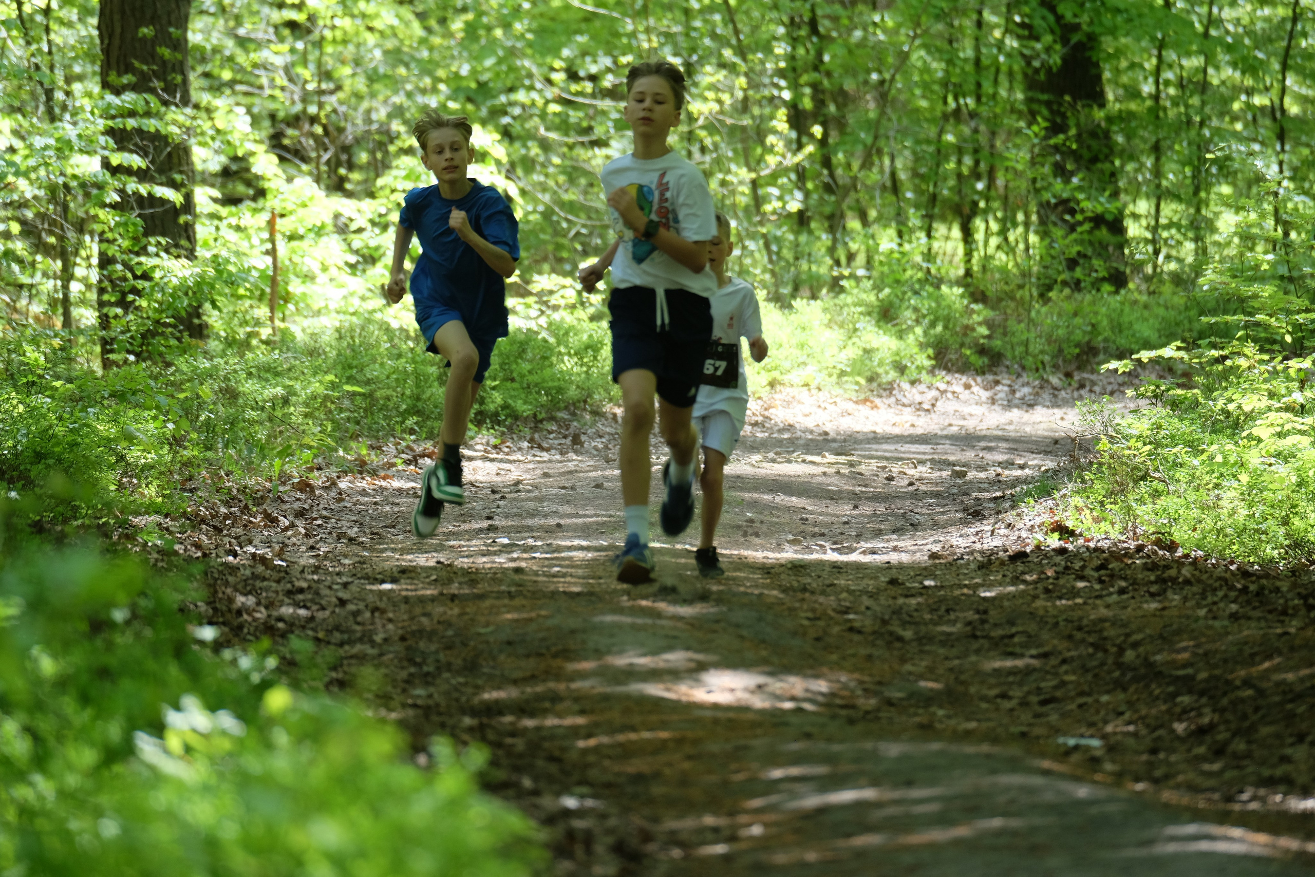 Aleksandryjska Piątka po lesie. Main