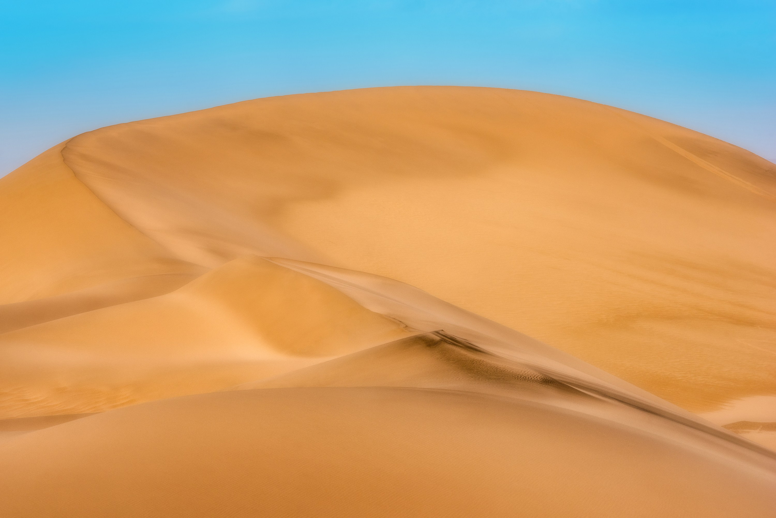 Amirhamzeh Mashayekhi Photographer