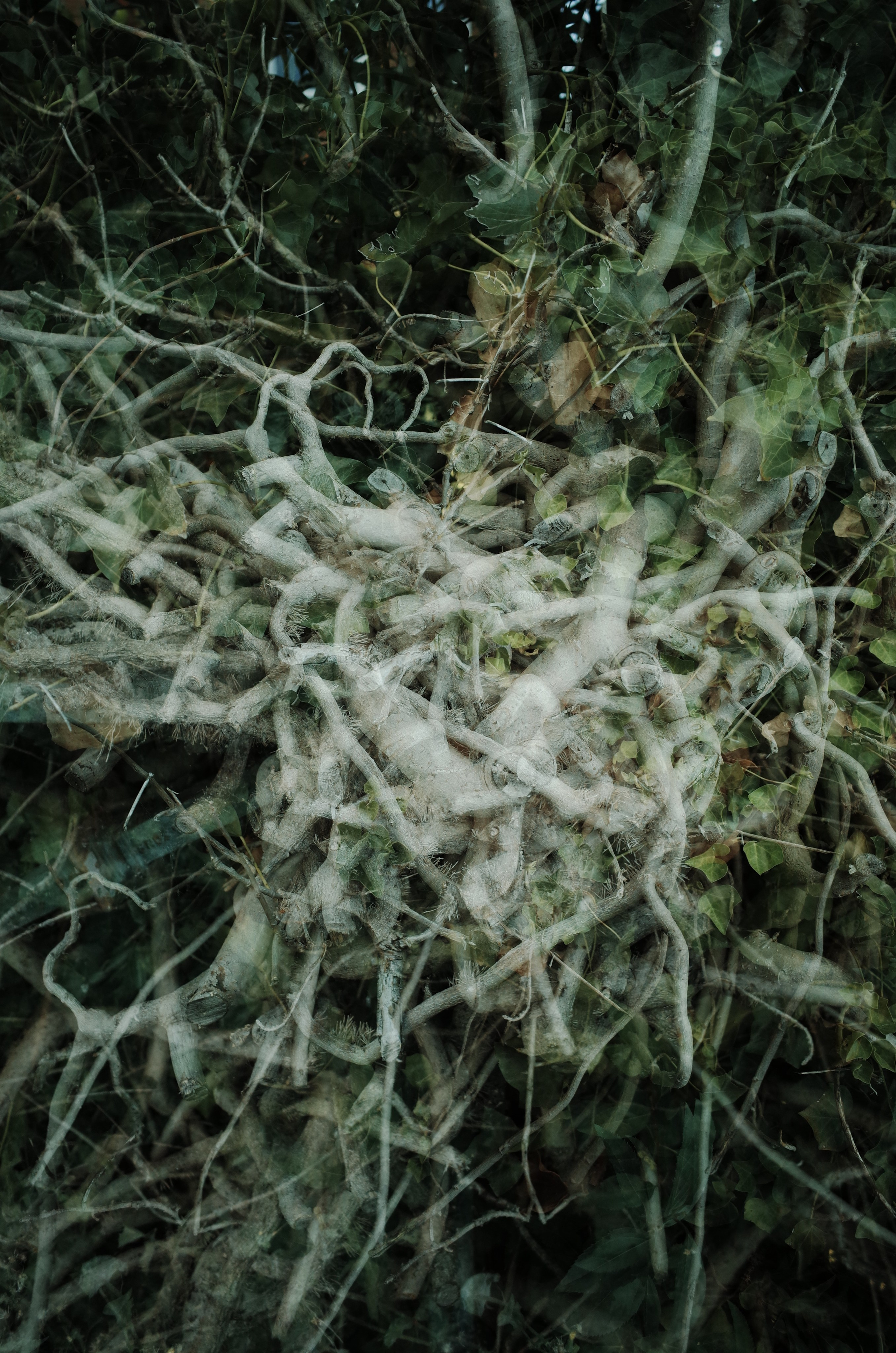 Angry walk of not belonging. Victoria Dini. Art photography in London / Folkestone, UK