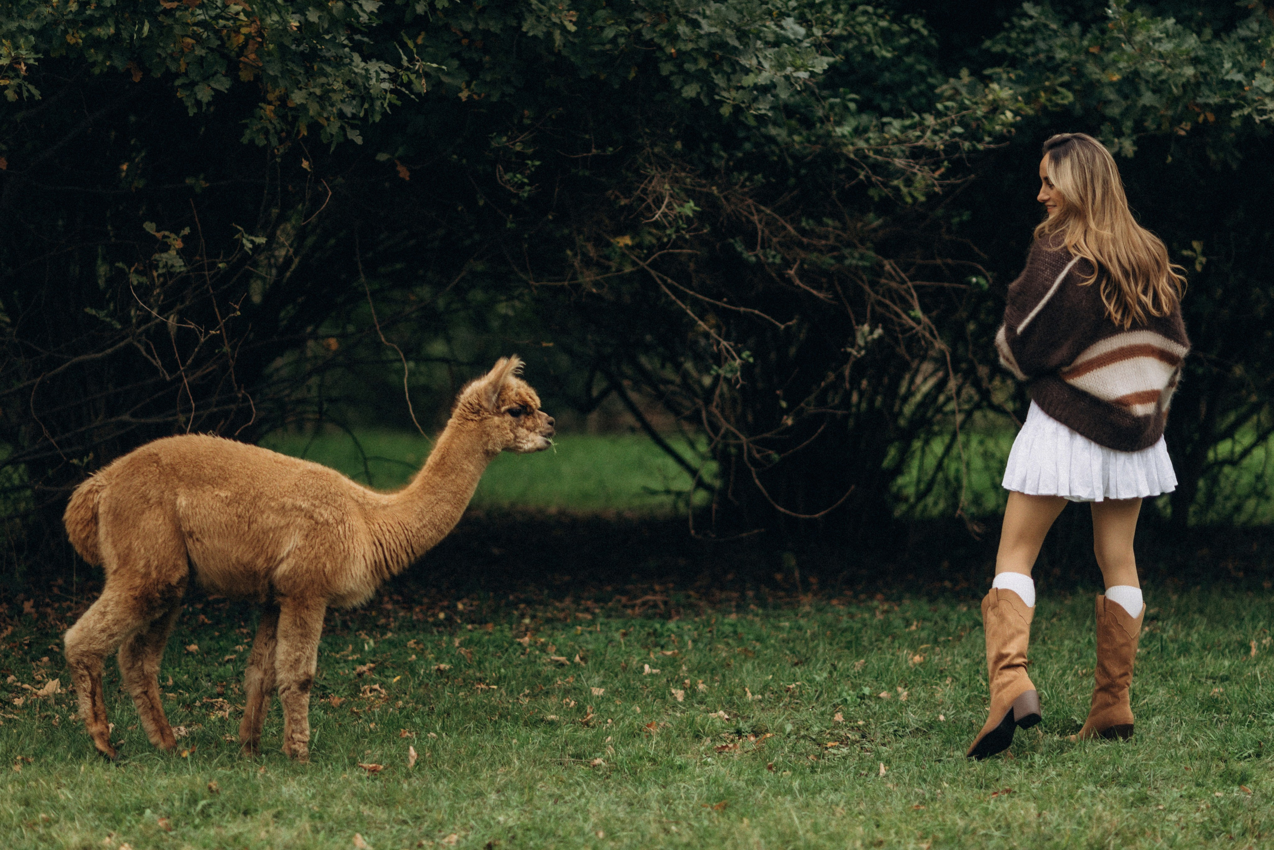 Семейная фотосессия с альпаками. Семейный фотограф Лейпциг, Германия