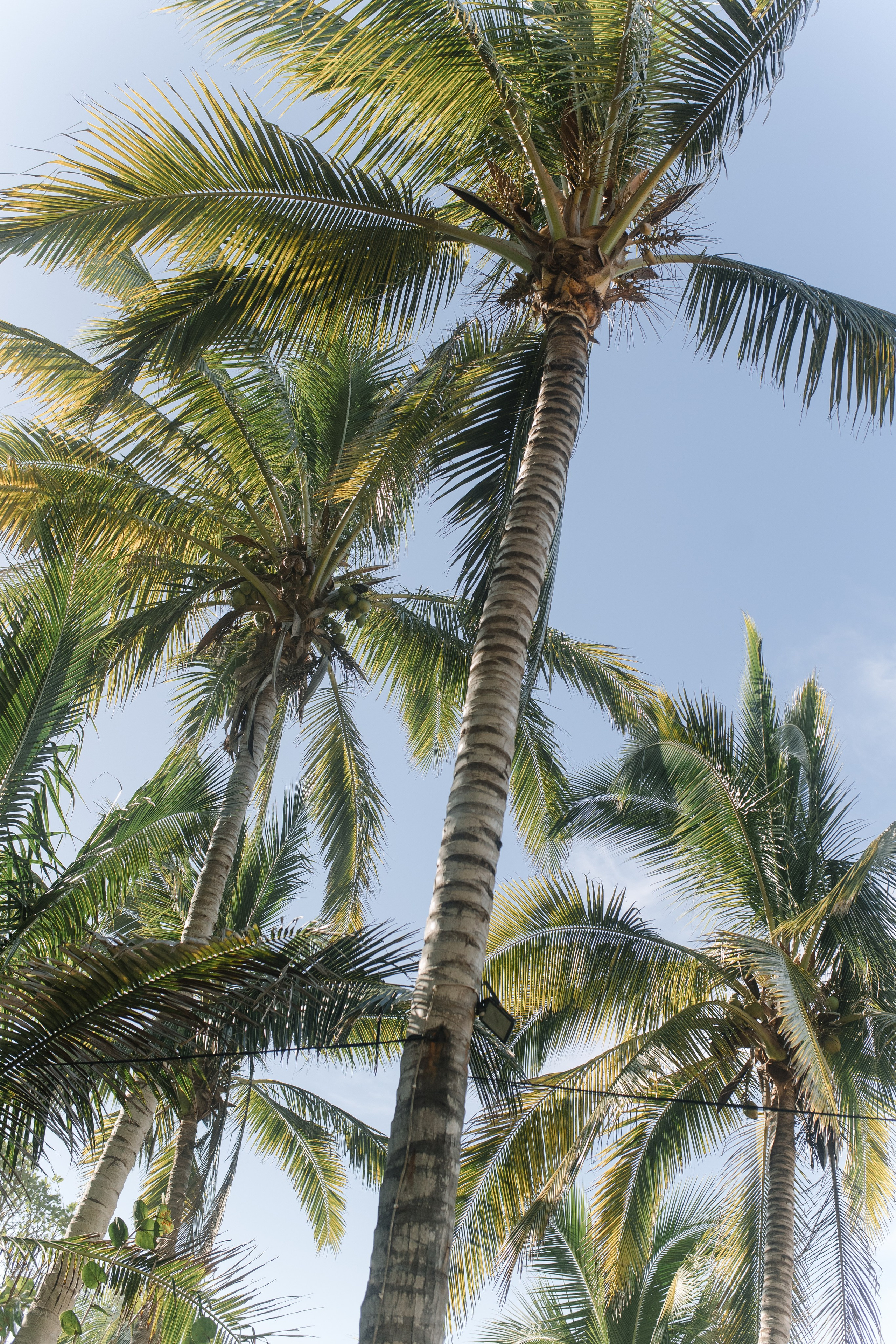 Tietire Estate. Wedding photographer Mexico Sayulita Puerto Vallarta Punta Mita Cabo