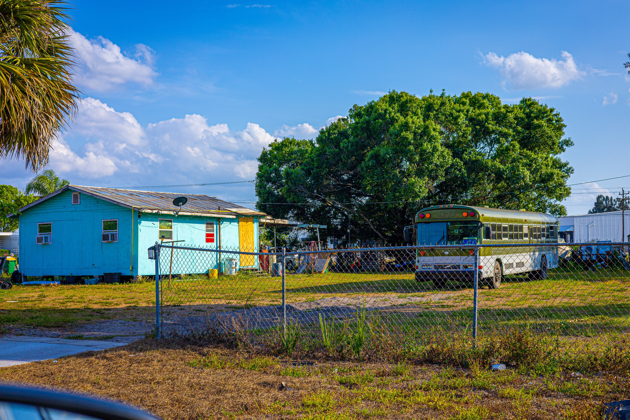 Americana — Immokolee. Out and About 239