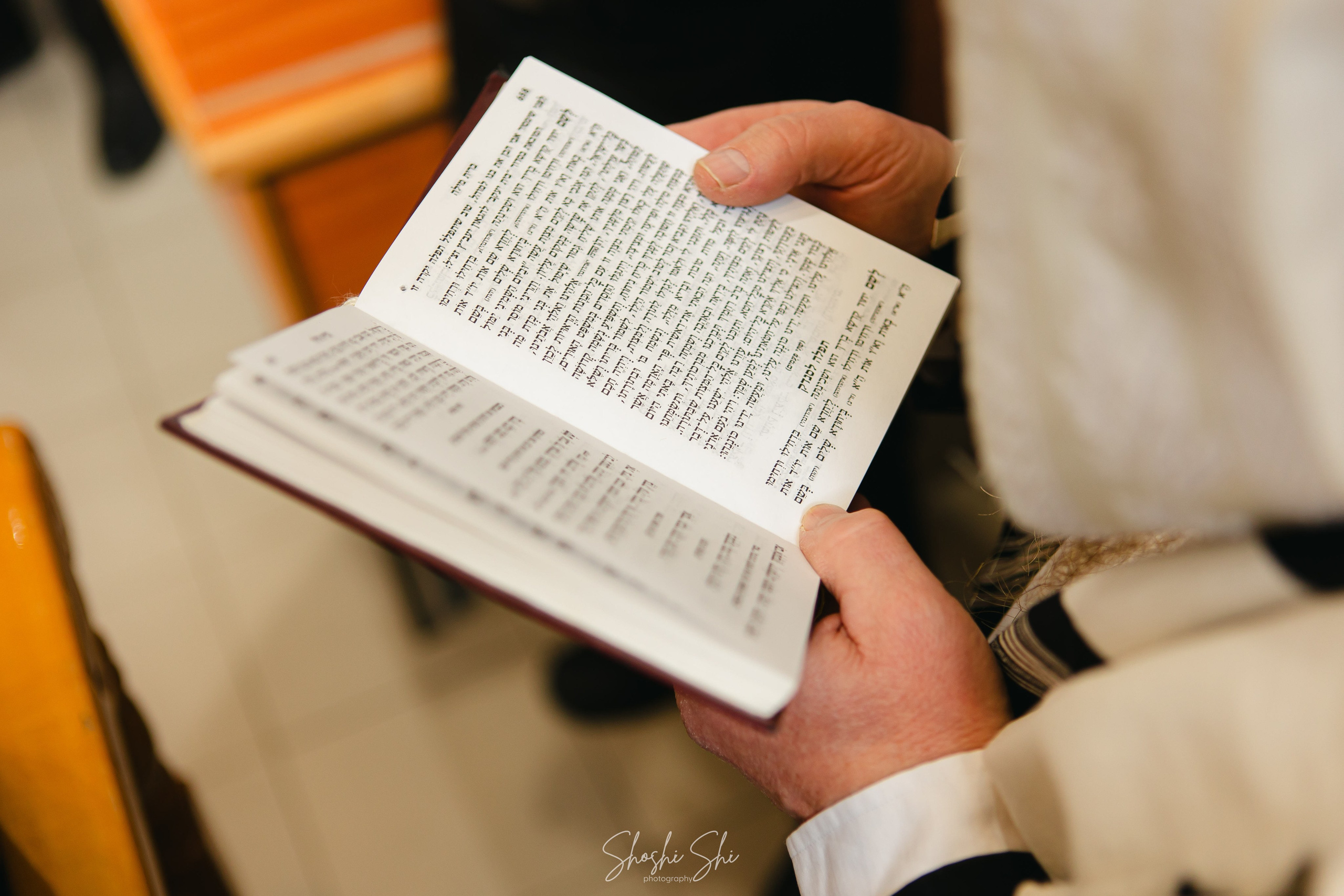 BRIT TWINS. Https://shi-photo.com/