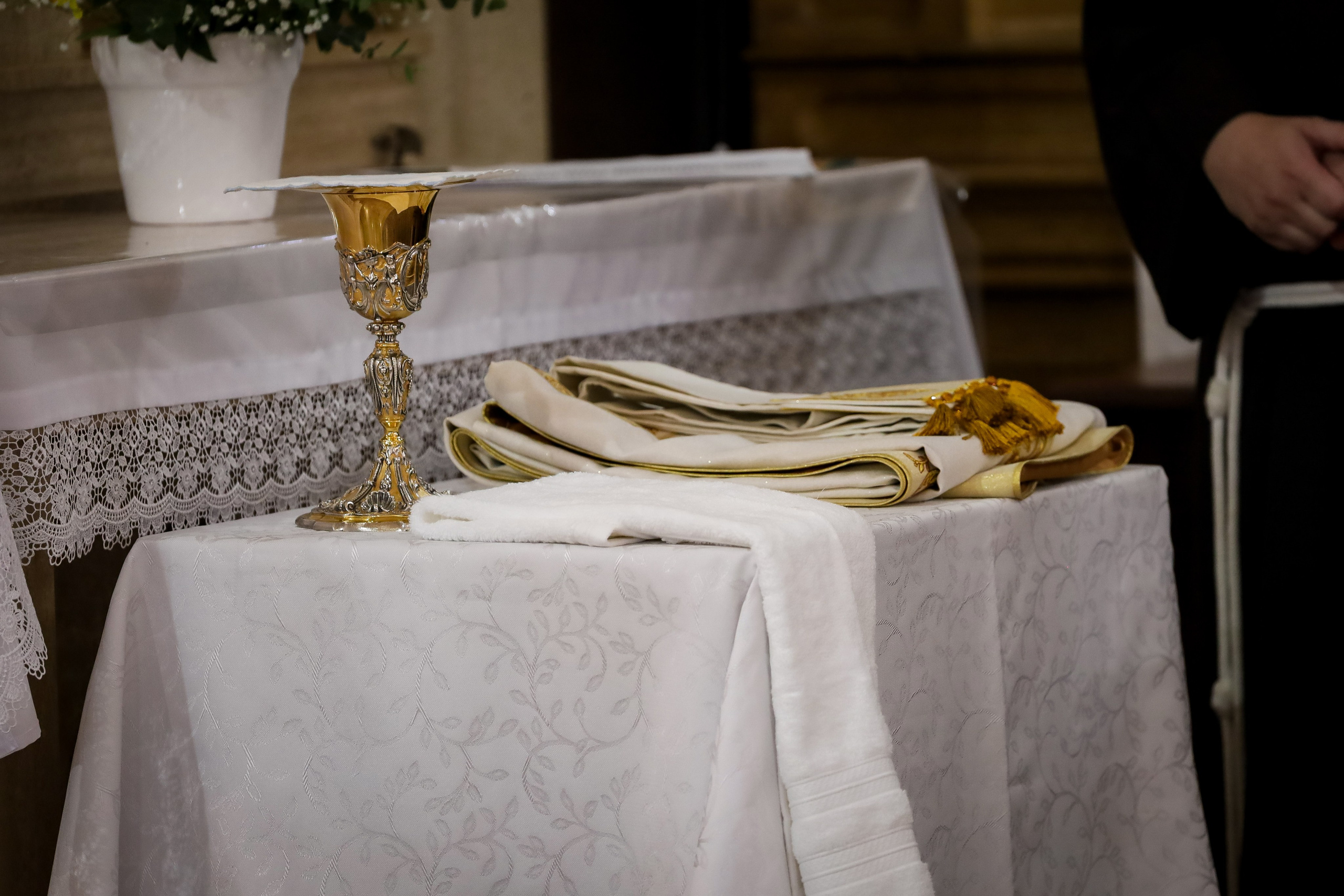 Ordenação Sacerdotal. Fotógrafo de momentos Sagrados