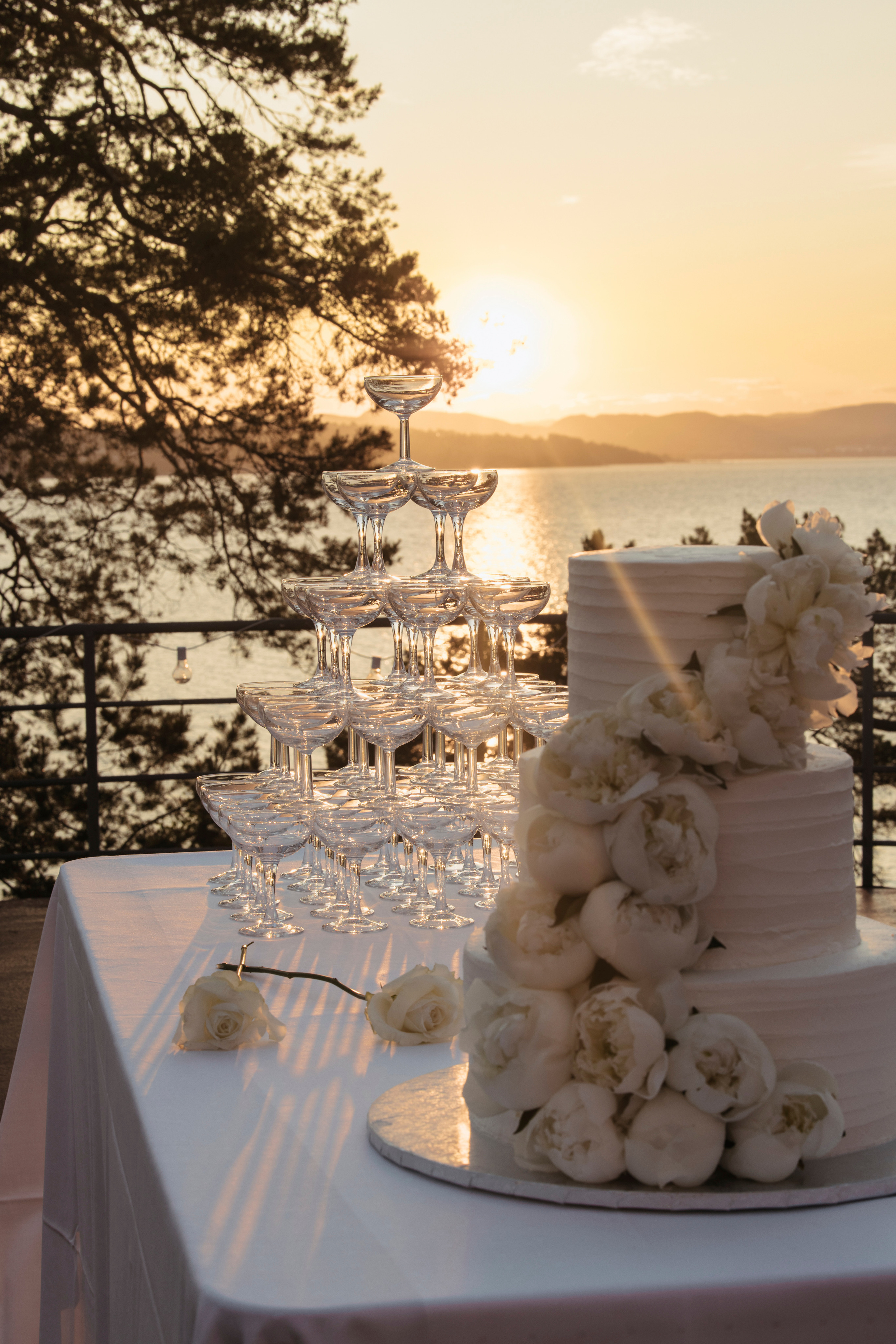 NIYAT & ROBEL. Nelly Oz Photography