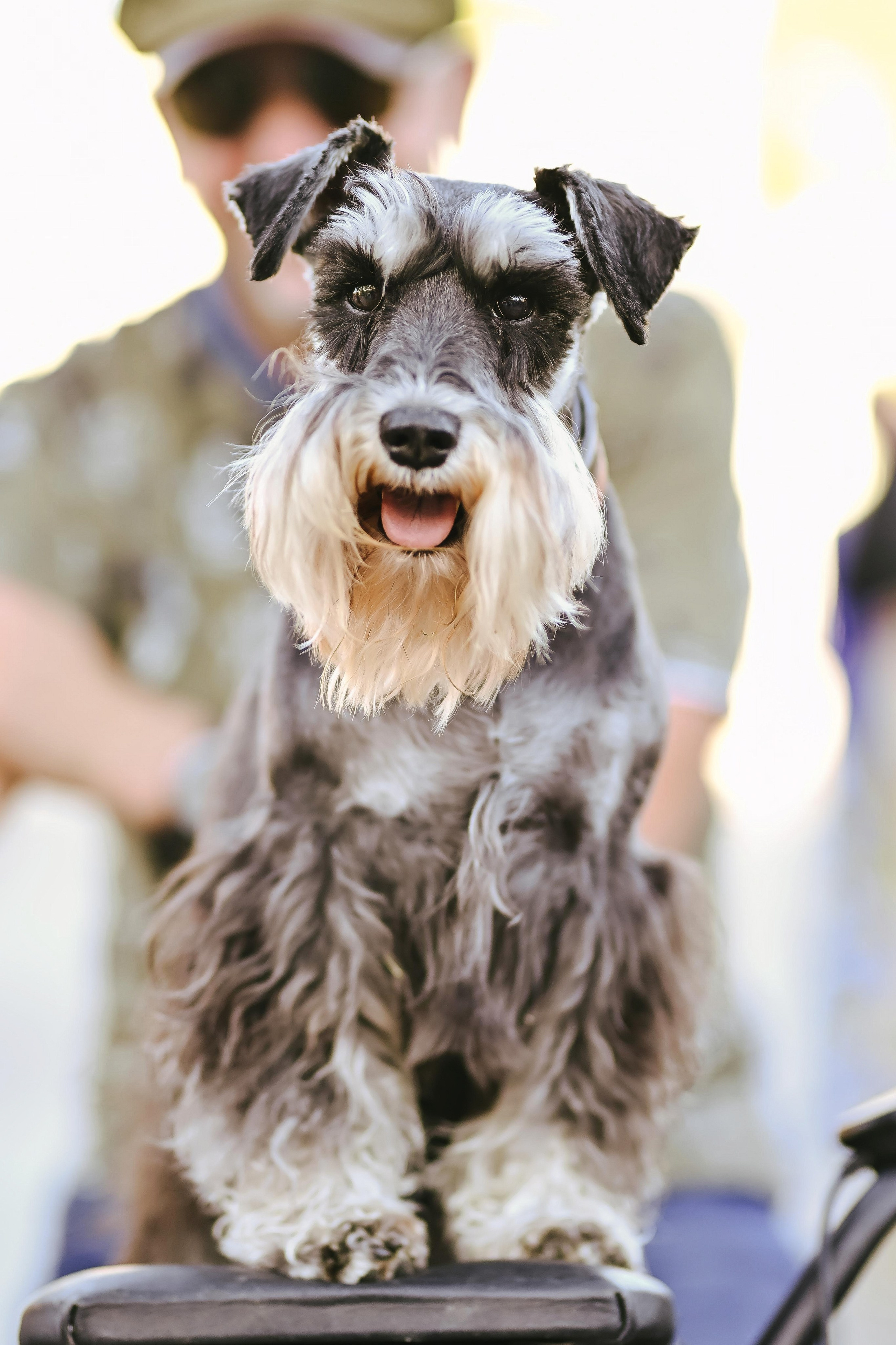 Saulės žiedas 2025. Rokas Baranauskas fotografija