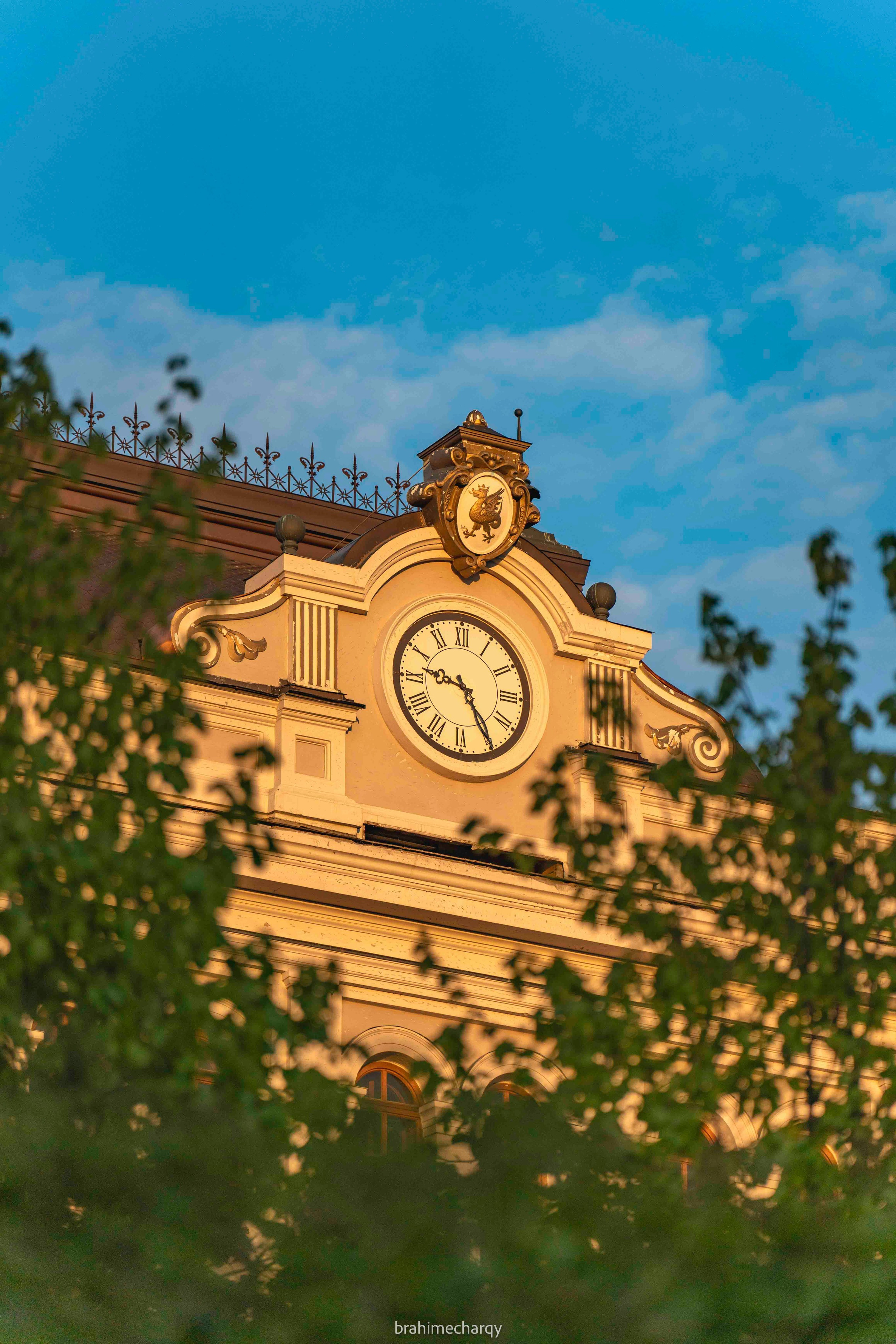 Фото. Брахим — фотограф