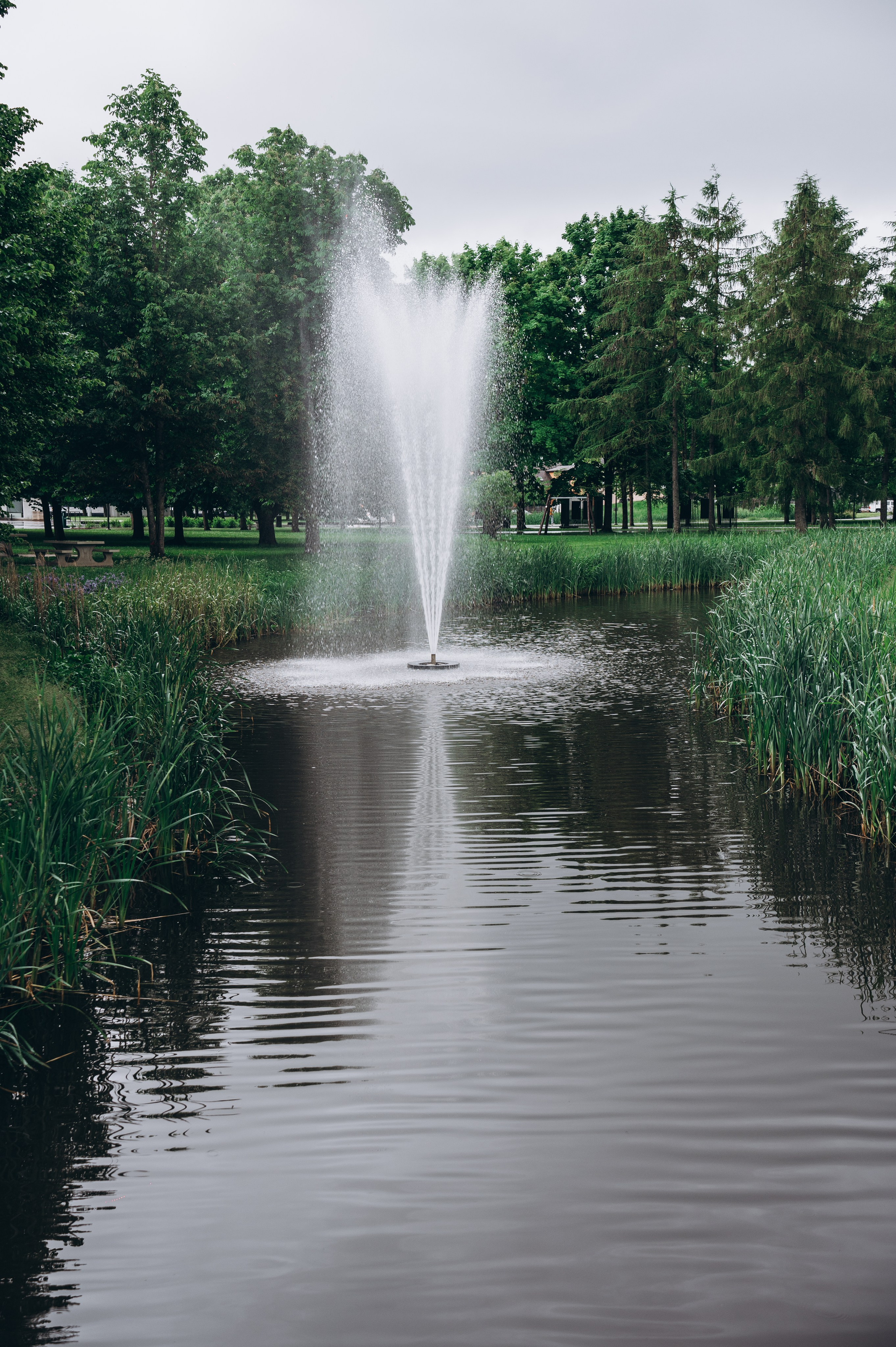 Toms and Juta. Jūlija Lazučonoka — kāzu un ģimenes fotogrāfe Rīgā un Jelgavā
