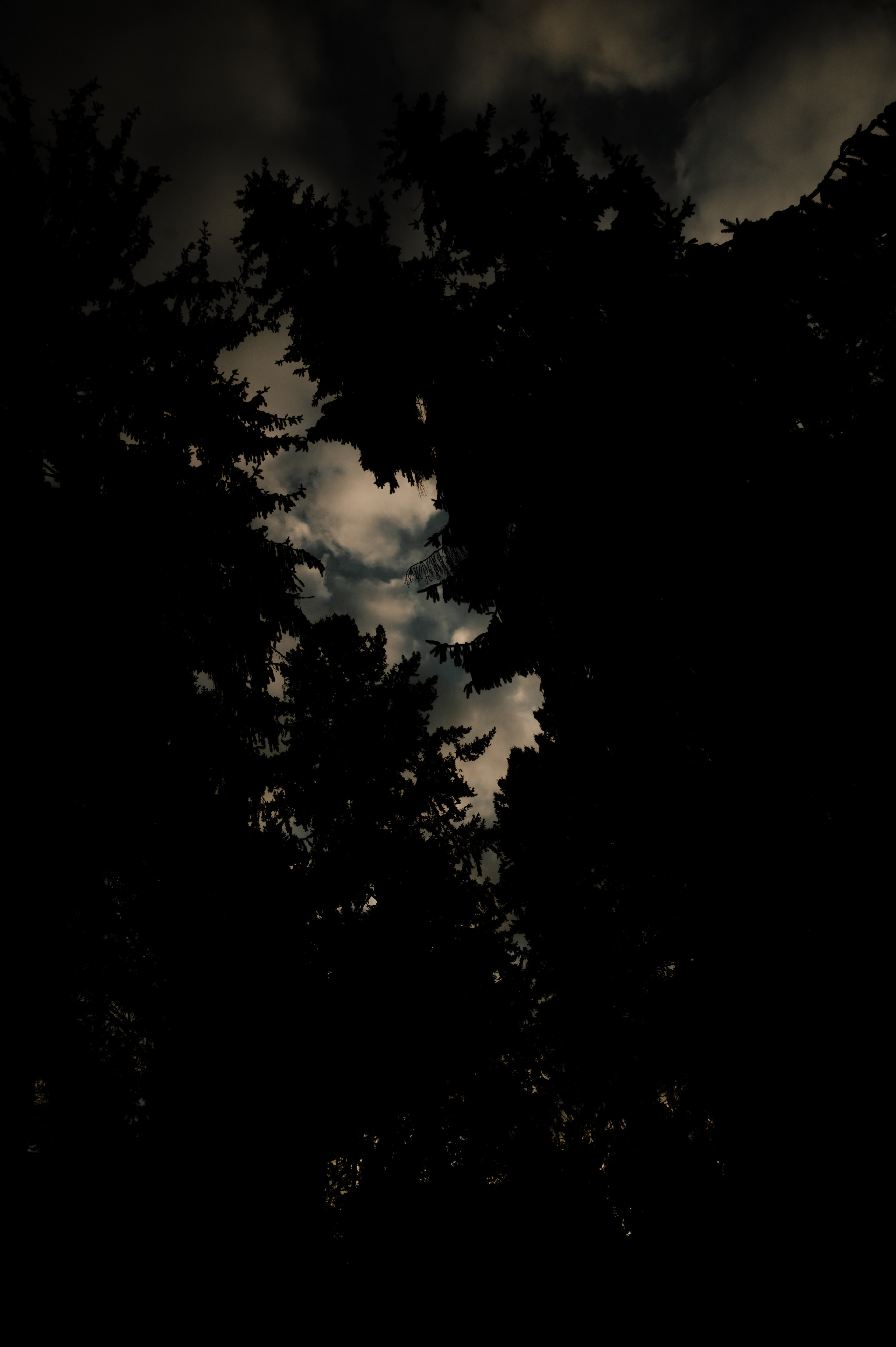 CannaXlife CBD products. ANNA-MARIA PHOTO CONTENT CREATOR — фотограф, эстет, художник и визуальный эксперт в Instagram, работающий в Праге