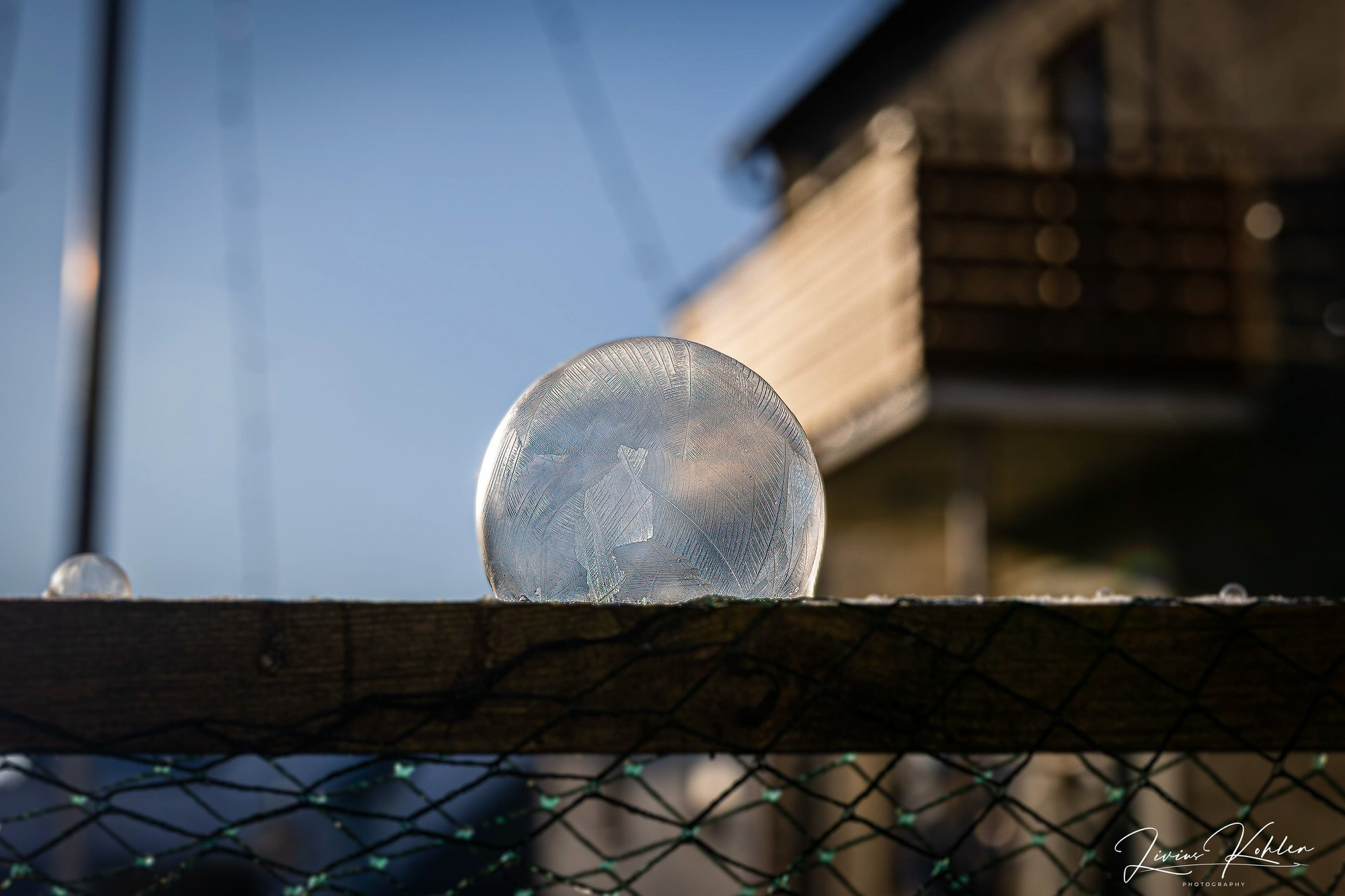 Hobby Bilder. FOTO KREATIV