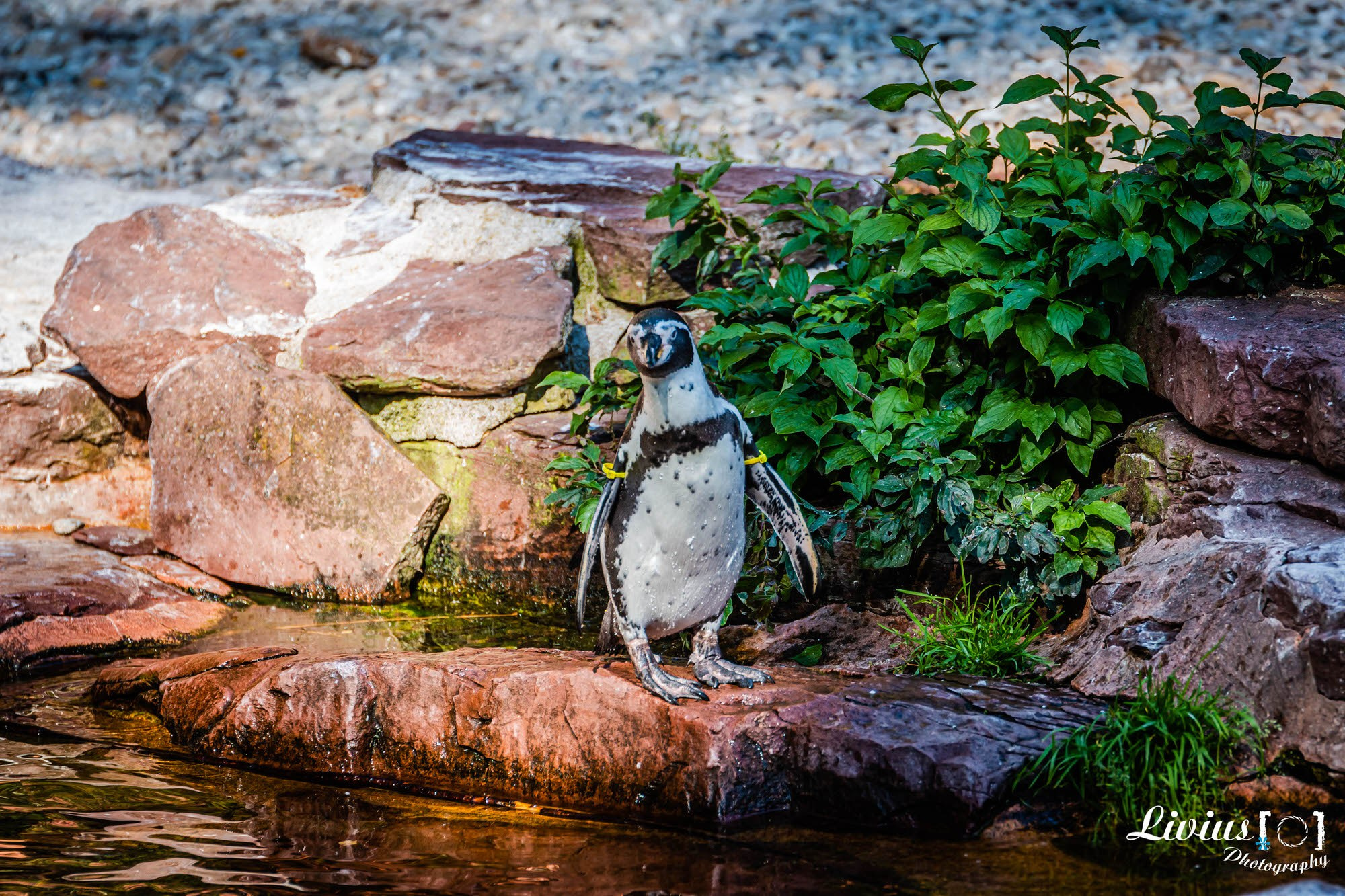 Tierpark Nürnberg. FOTO KREATIV