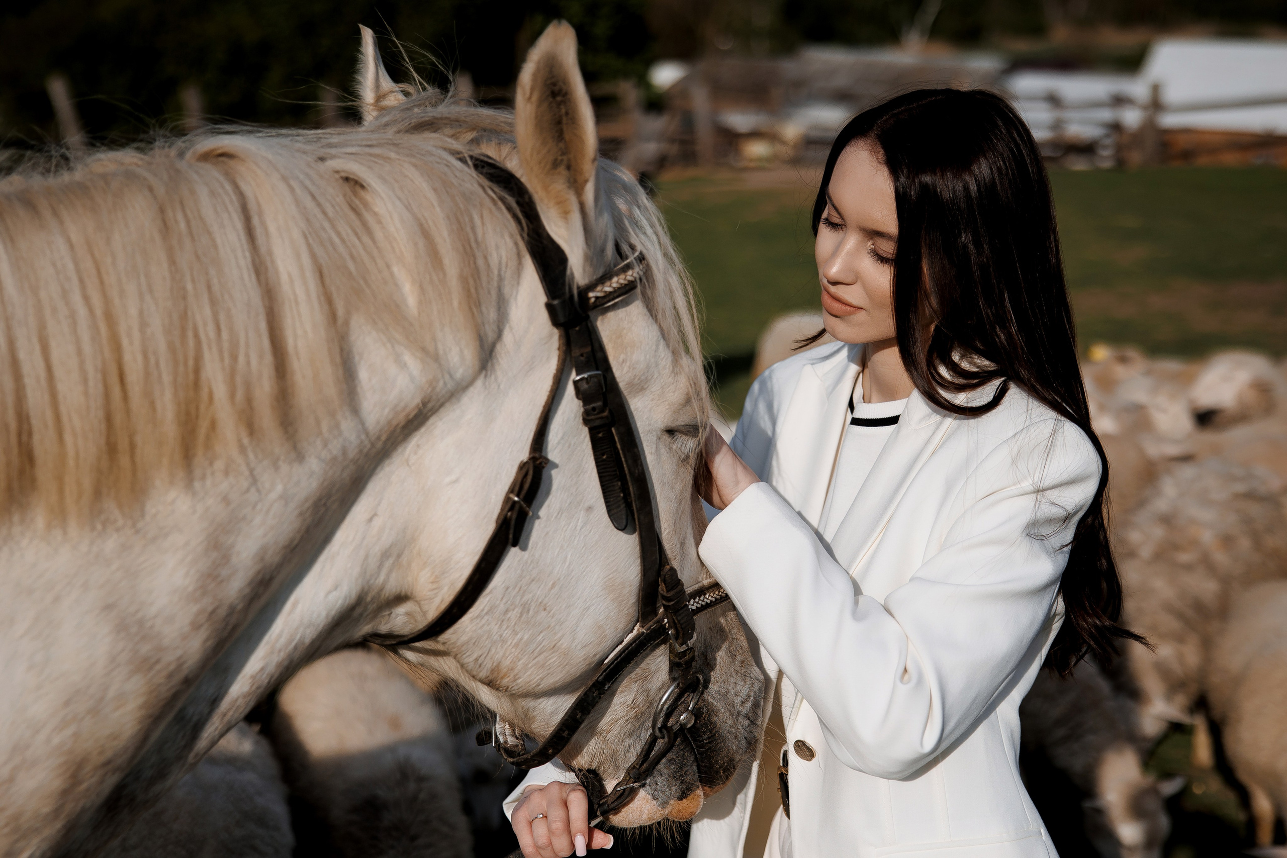 Евгений+Анастасия. Свадебный фотограф Каледич Тимофей