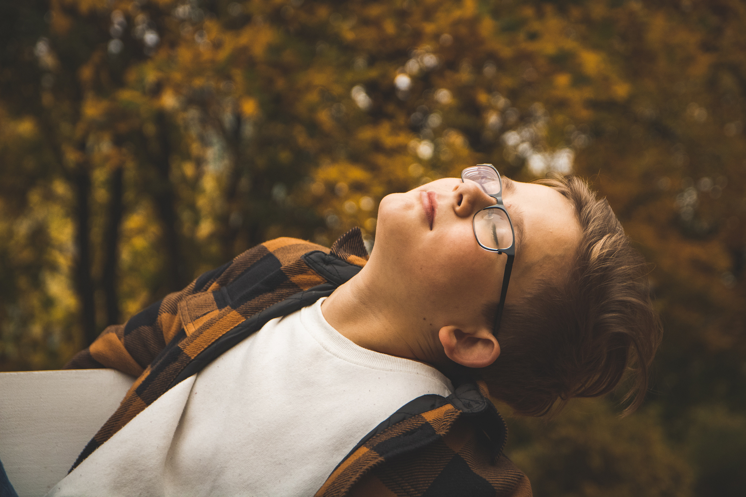 Sügis (Timur). Nebula 25 — Fotod teie hingele