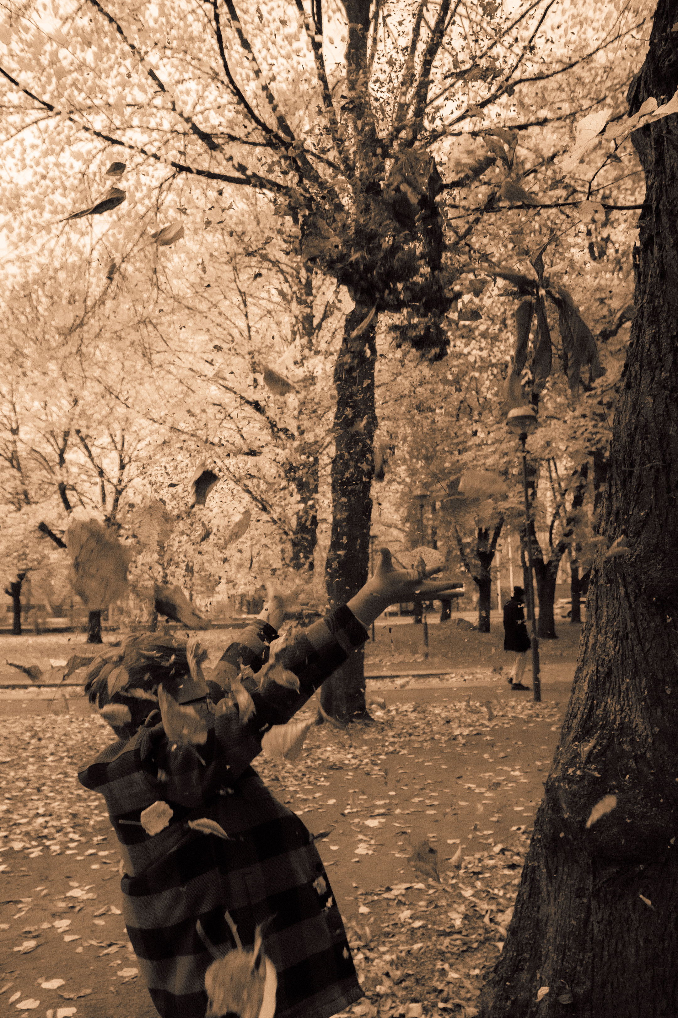 Sügis (Timur). Nebula 25 — Fotod teie hingele