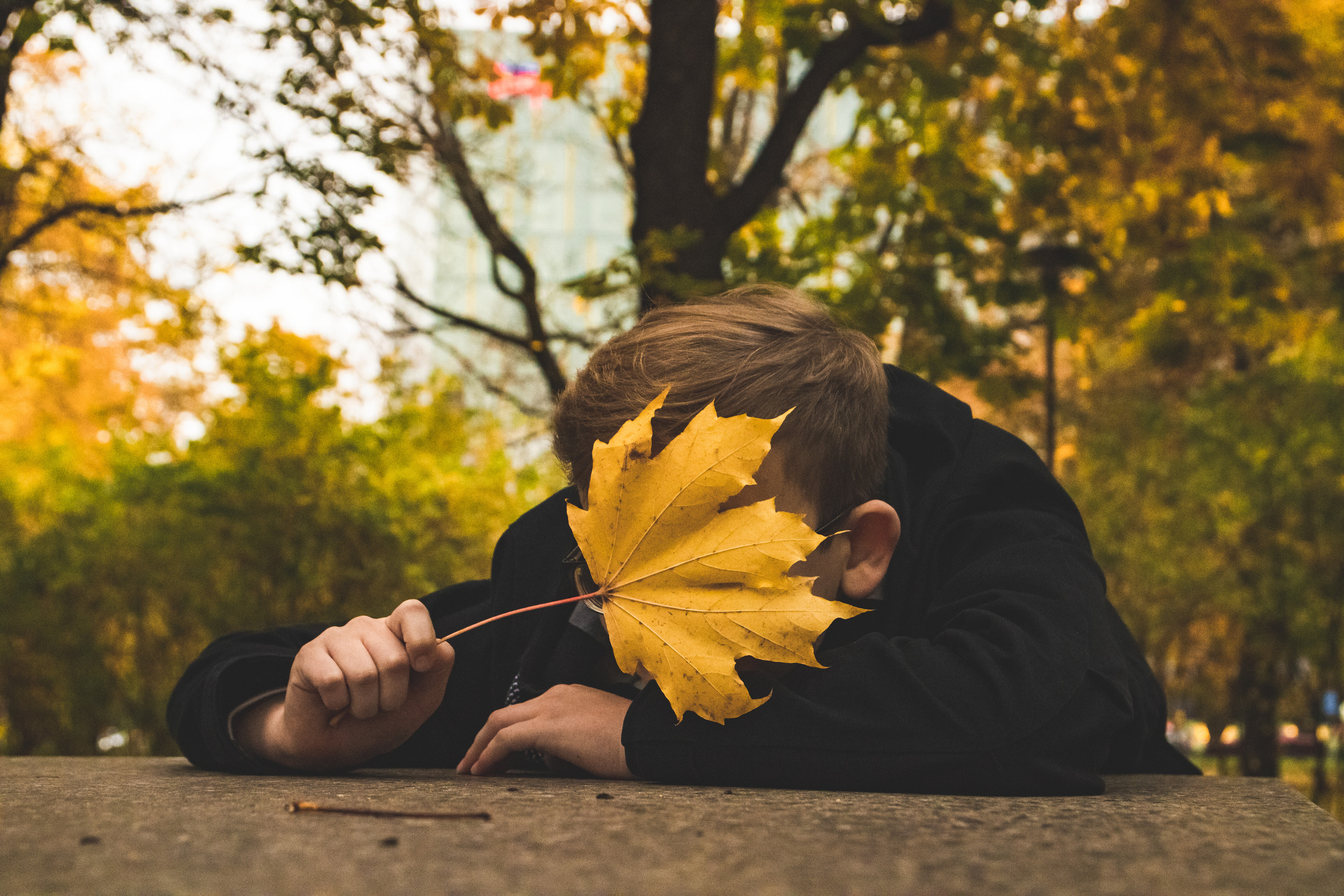 Sügis (Timur). Nebula 25 — Fotod teie hingele
