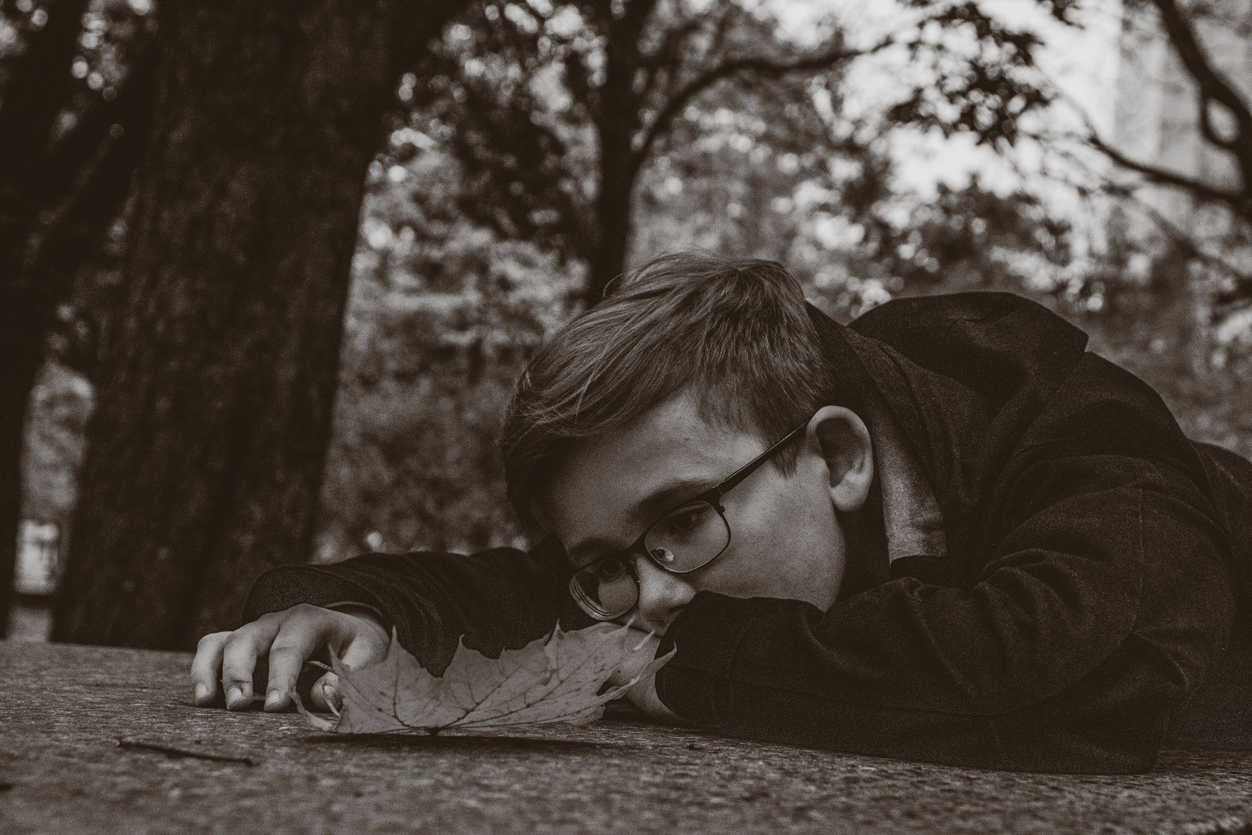 Sügis (Timur). Nebula 25 — Fotod teie hingele