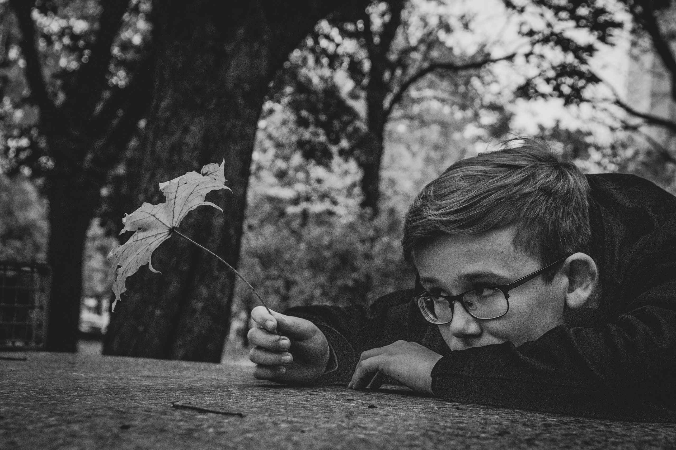 Sügis (Timur). Nebula 25 — Fotod teie hingele