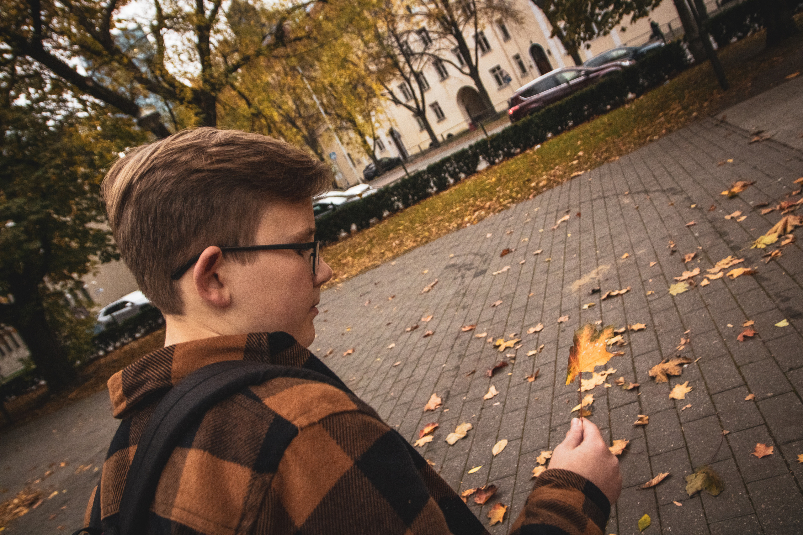 Sügis (Timur). Nebula 25 — Fotod teie hingele