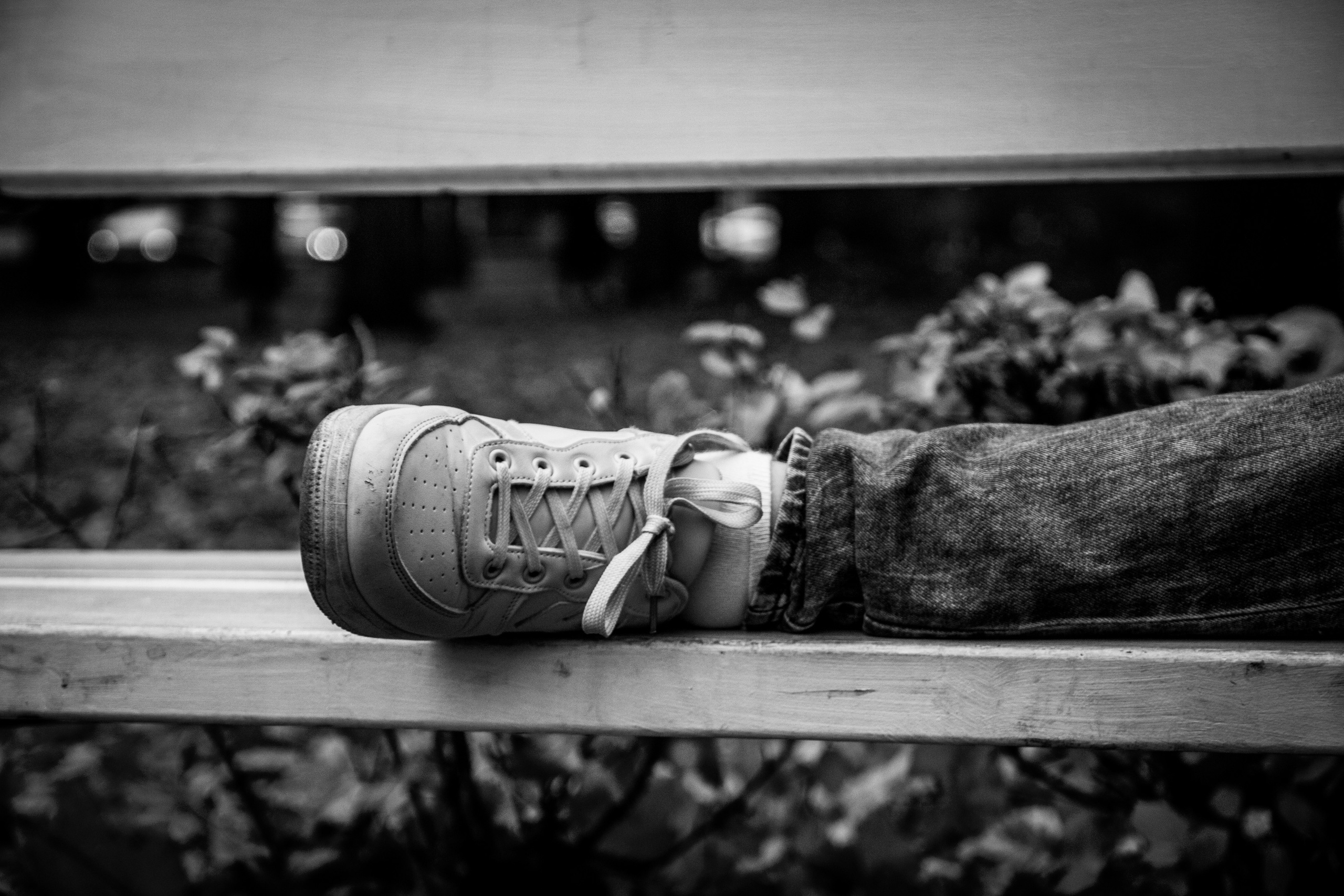 Sügis (Timur). Nebula 25 — Fotod teie hingele