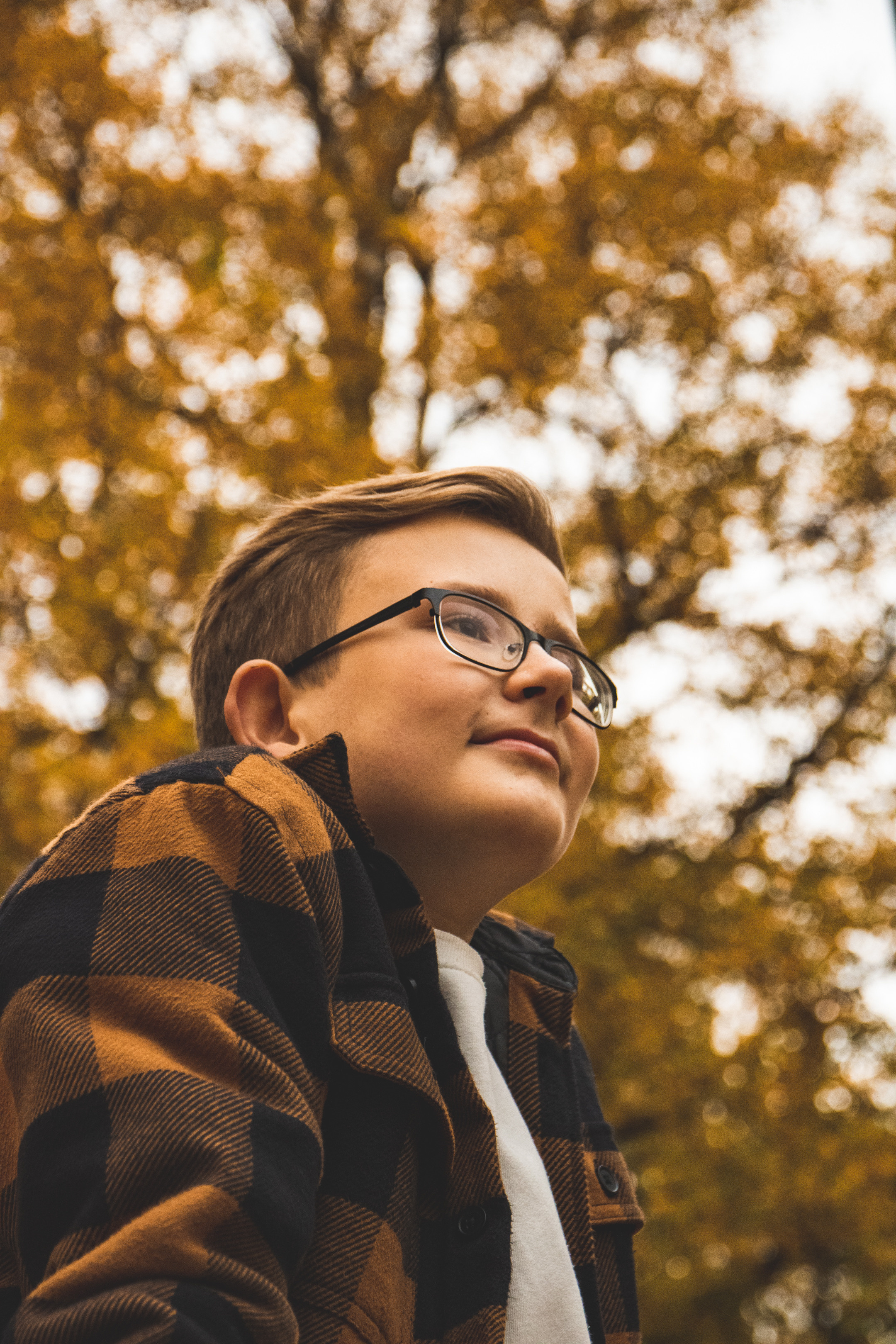 Sügis (Timur). Nebula 25 — Fotod teie hingele