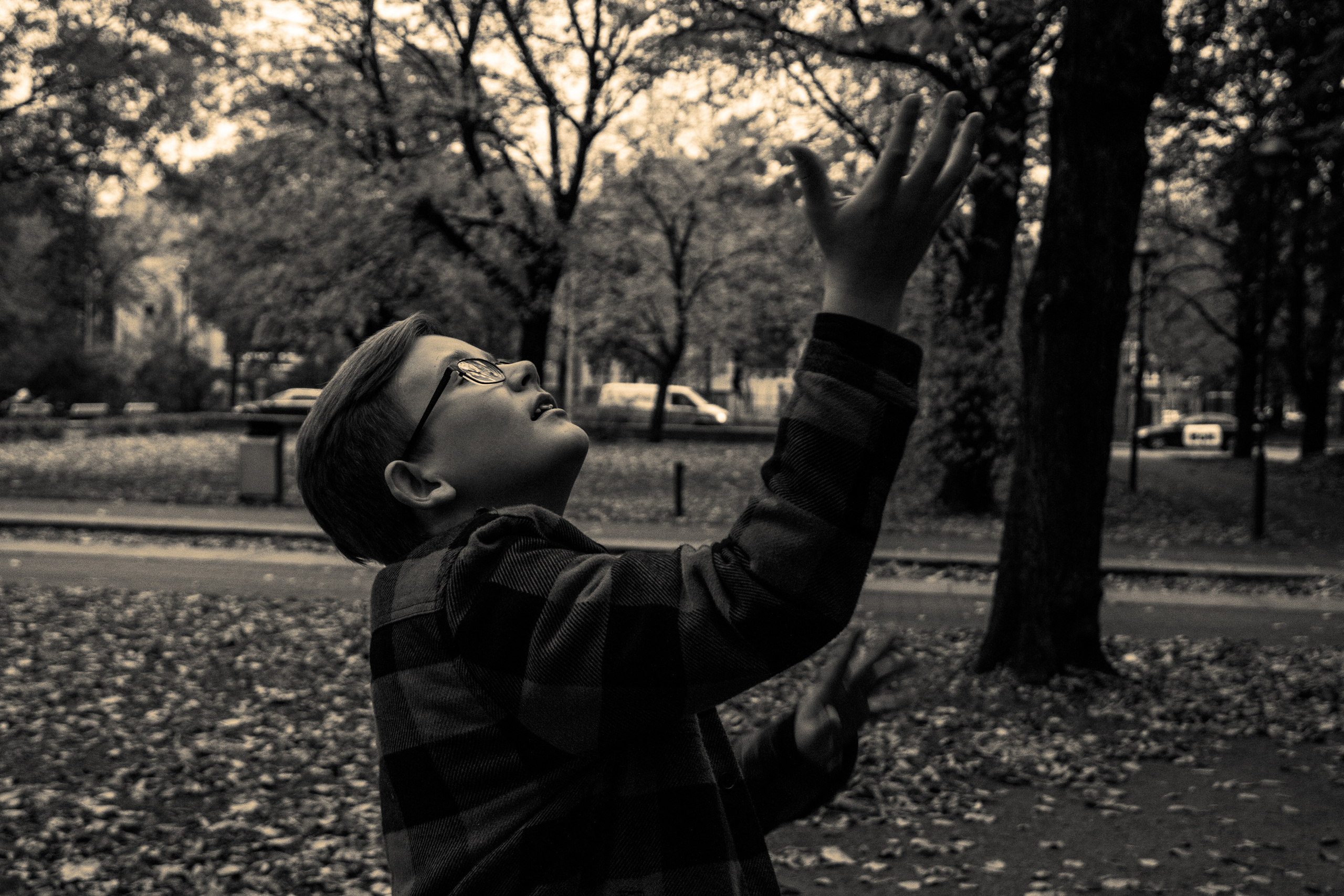 Sügis (Timur). Nebula 25 — Fotod teie hingele