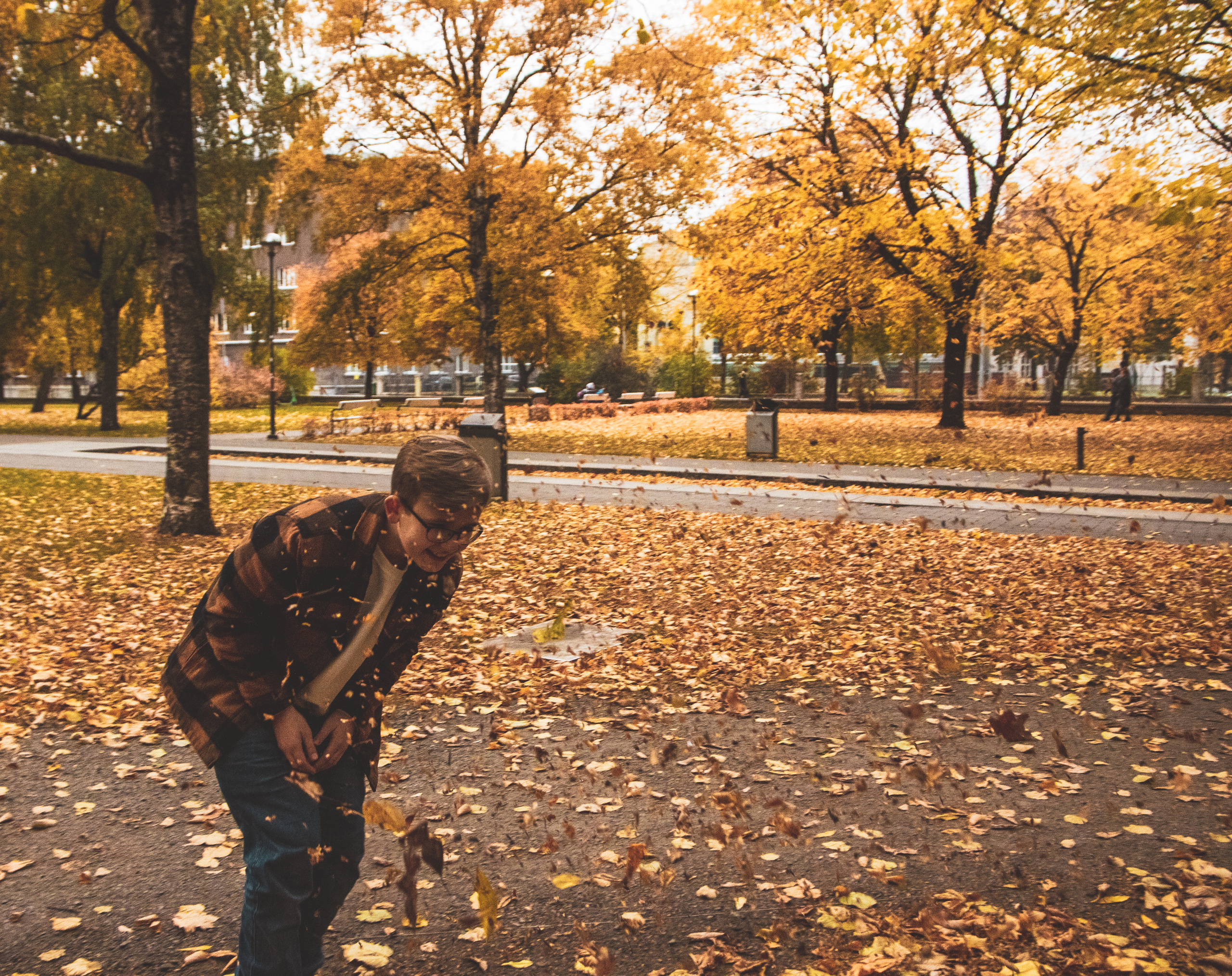 Sügis (Timur). Nebula 25 — Fotod teie hingele