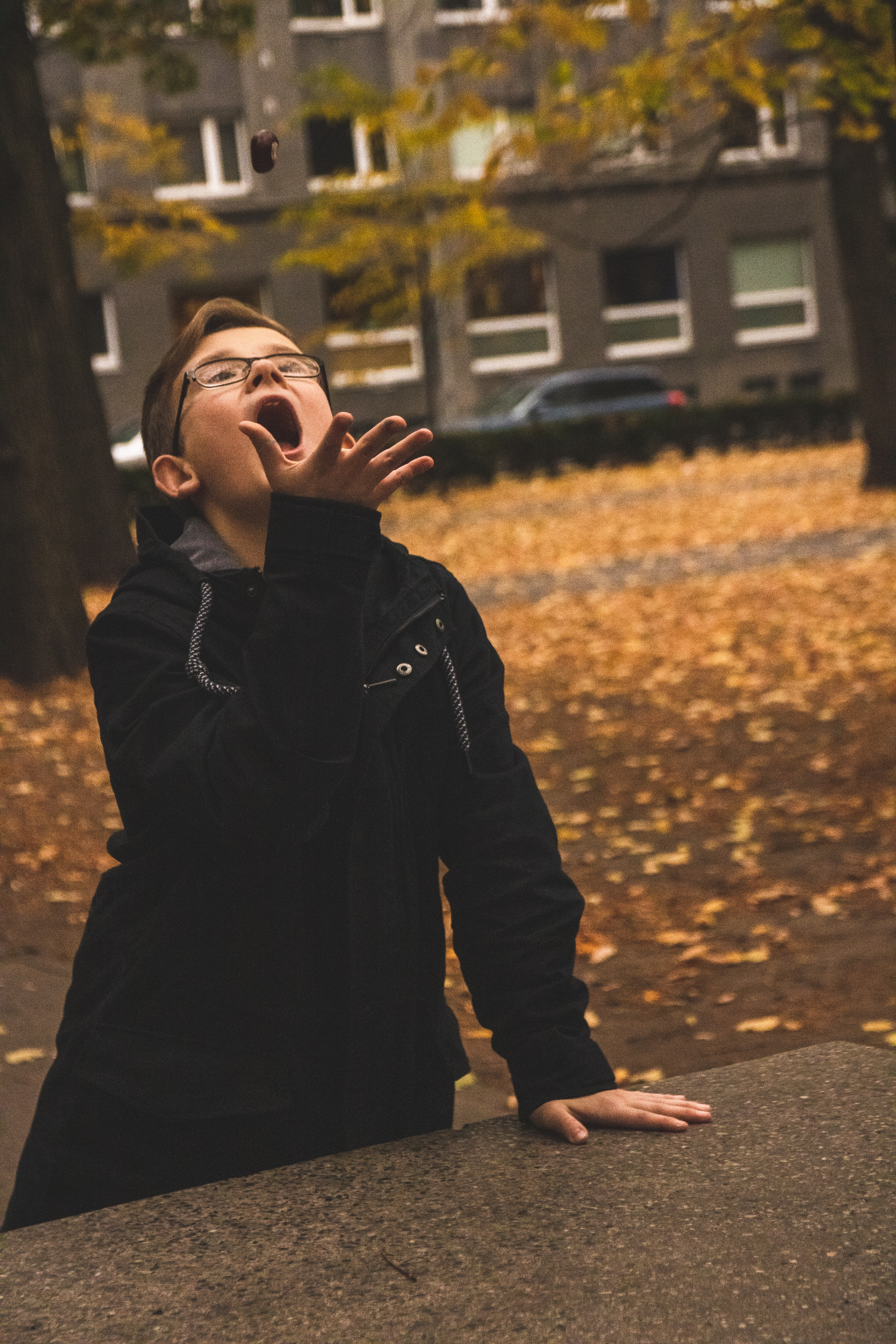 Sügis (Timur). Nebula 25 — Fotod teie hingele