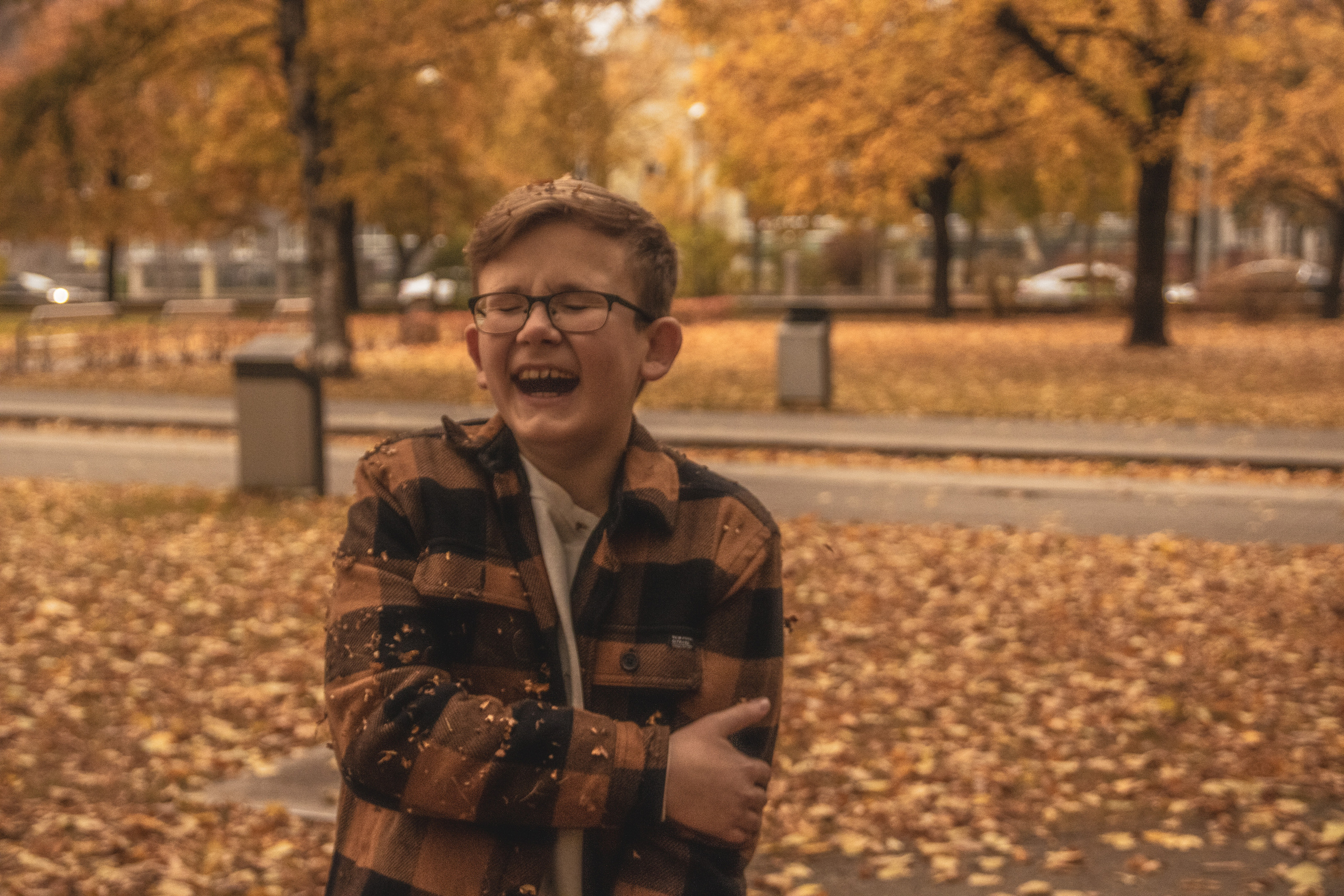 Sügis (Timur). Nebula 25 — Fotod teie hingele