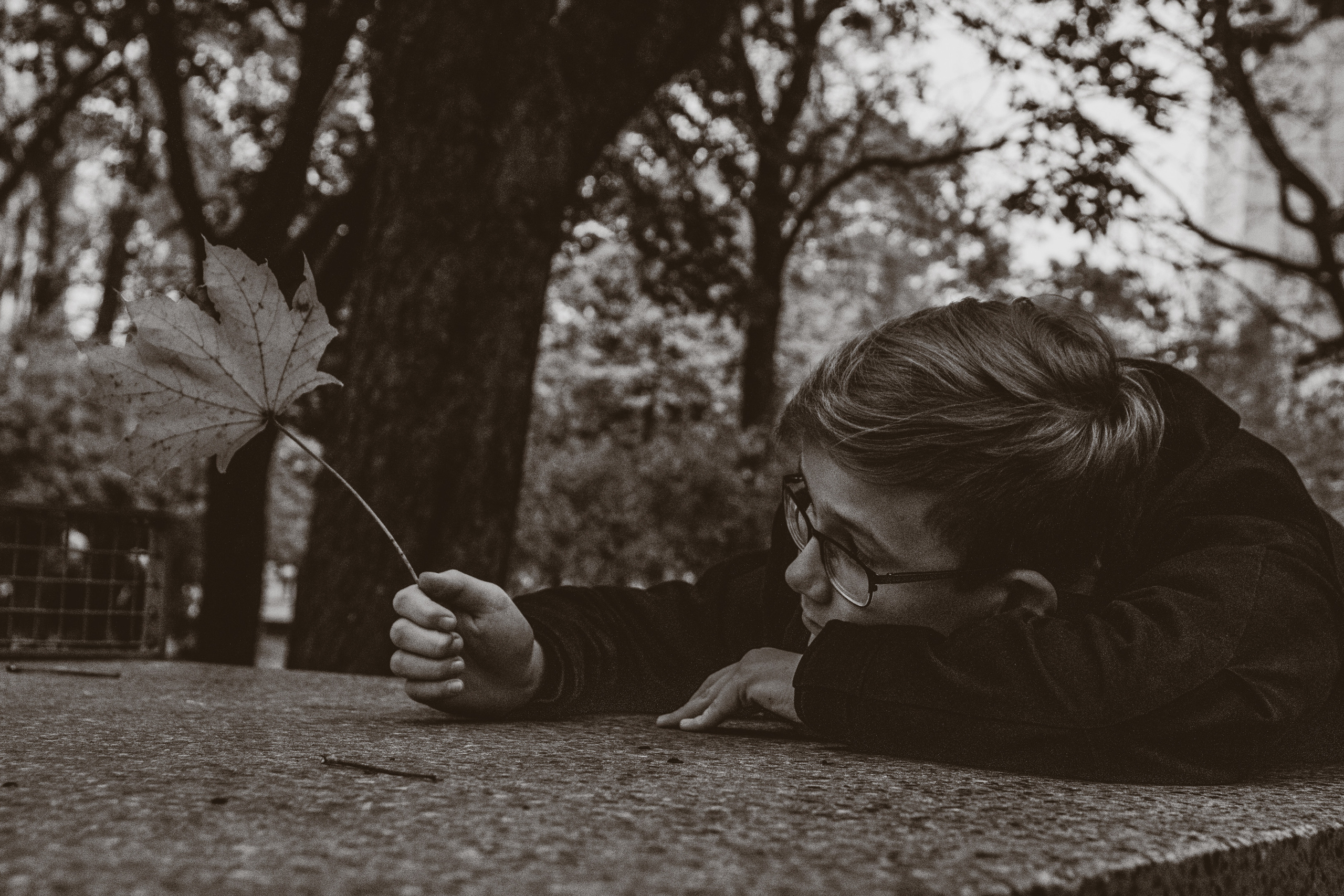 Sügis (Timur). Nebula 25 — Fotod teie hingele