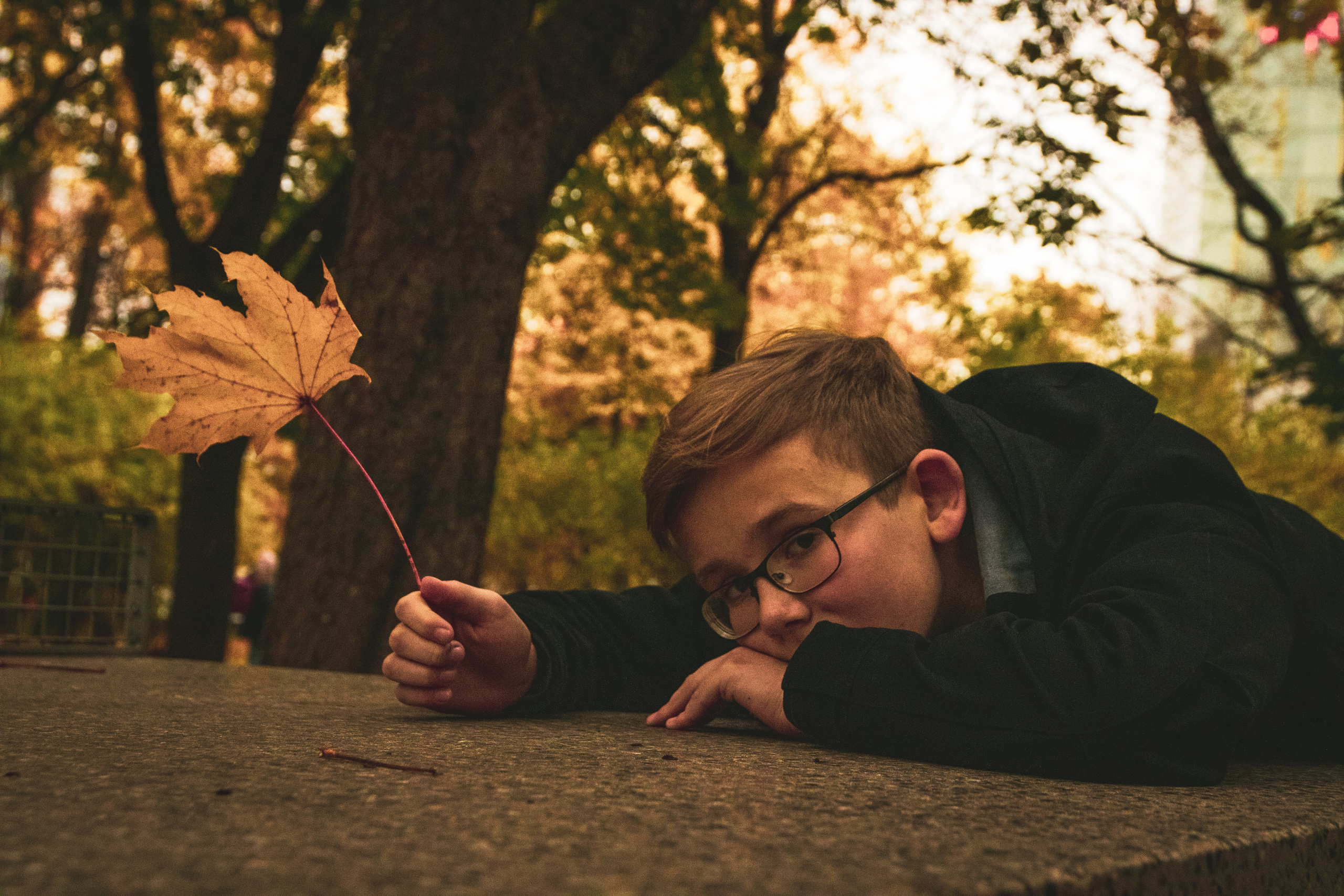 Sügis (Timur). Nebula 25 — Fotod teie hingele