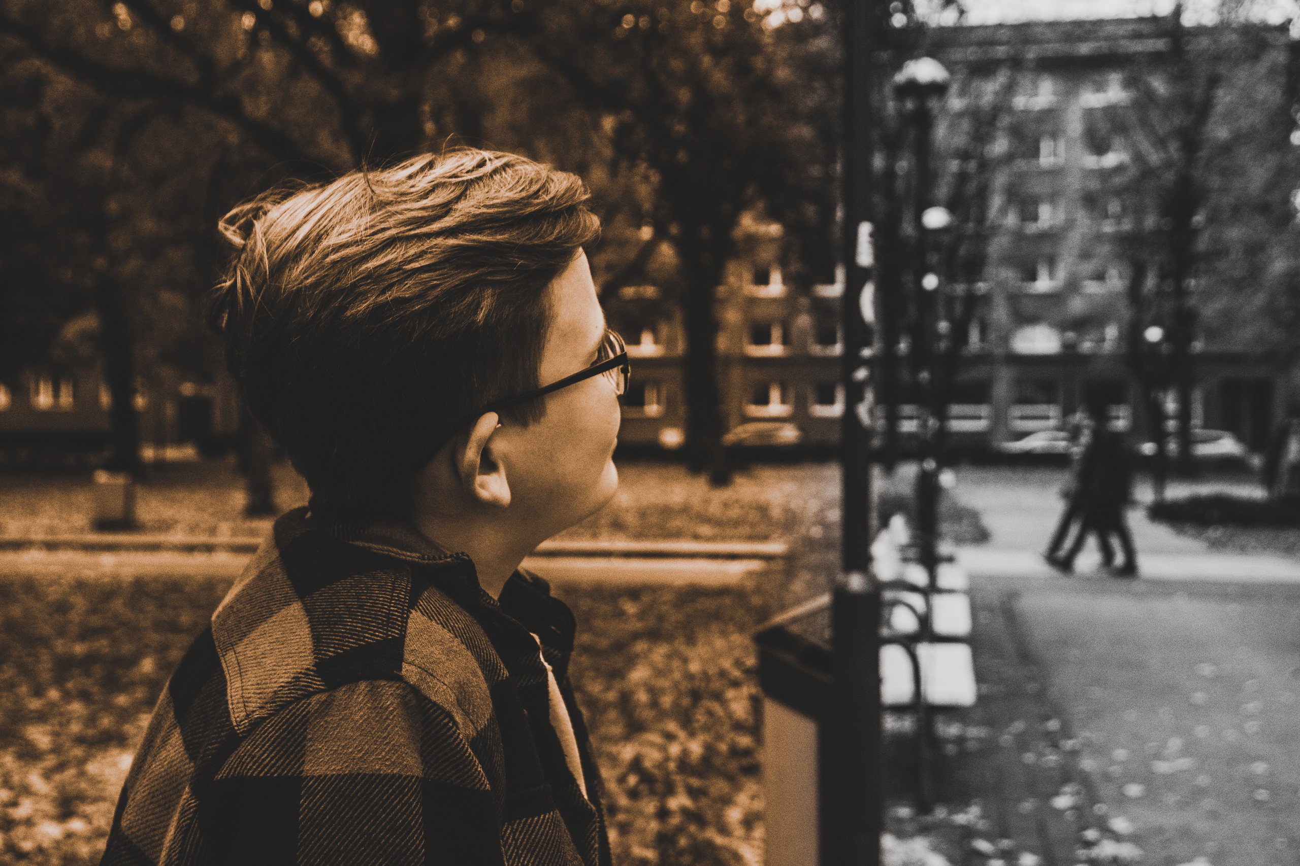 Sügis (Timur). Nebula 25 — Fotod teie hingele