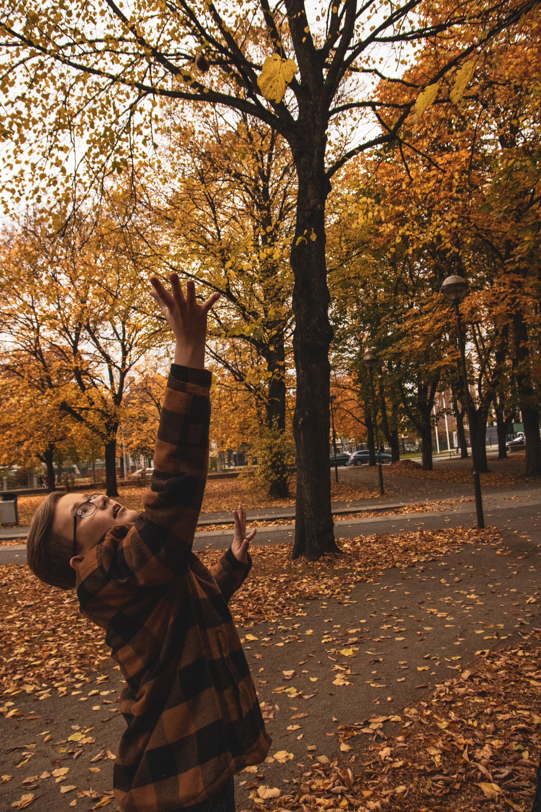Sügis (Timur). Nebula 25 — Fotod teie hingele